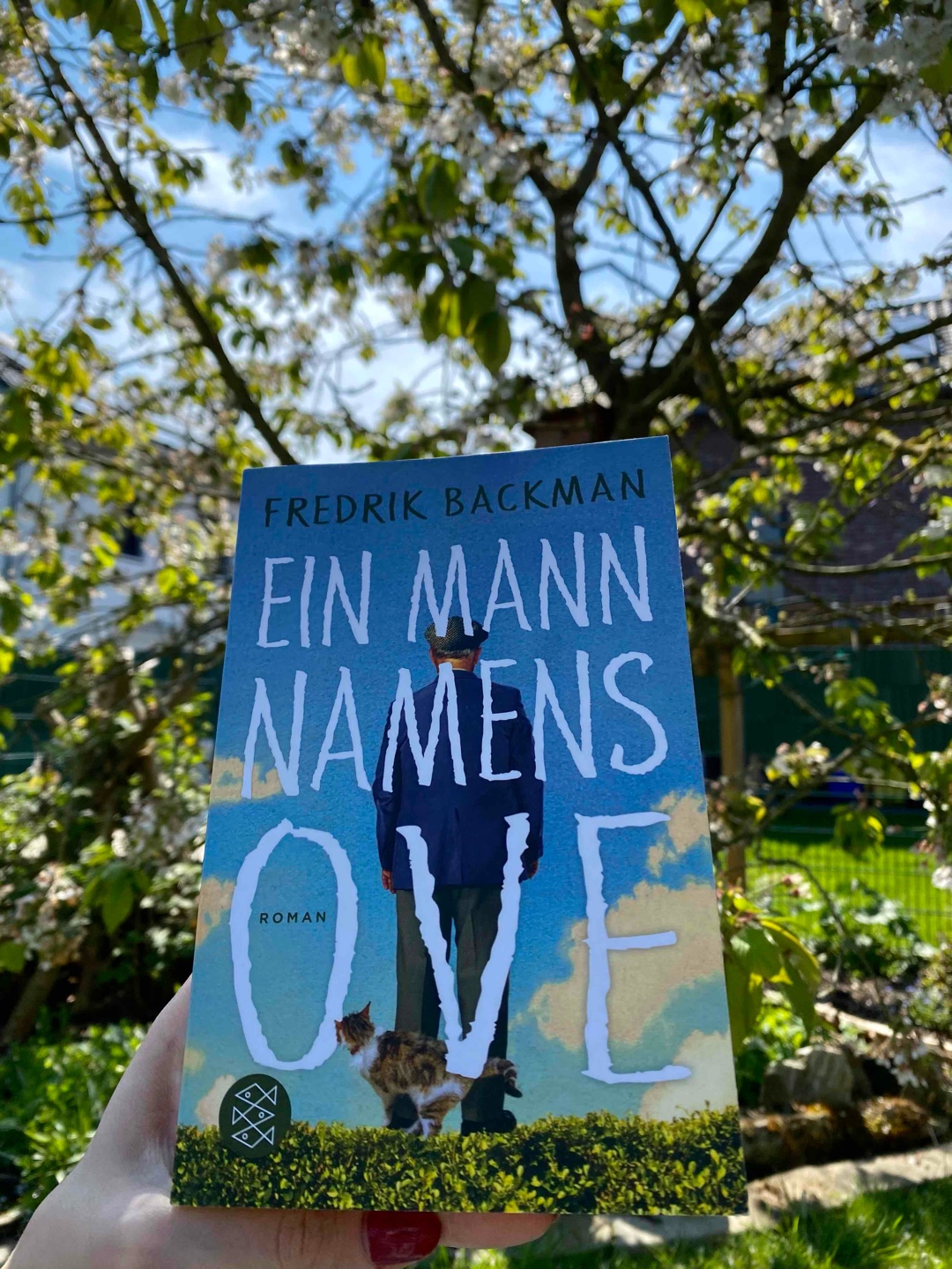 Ein Mann namens Ove – und eine Geschichte, die das Herz berührt