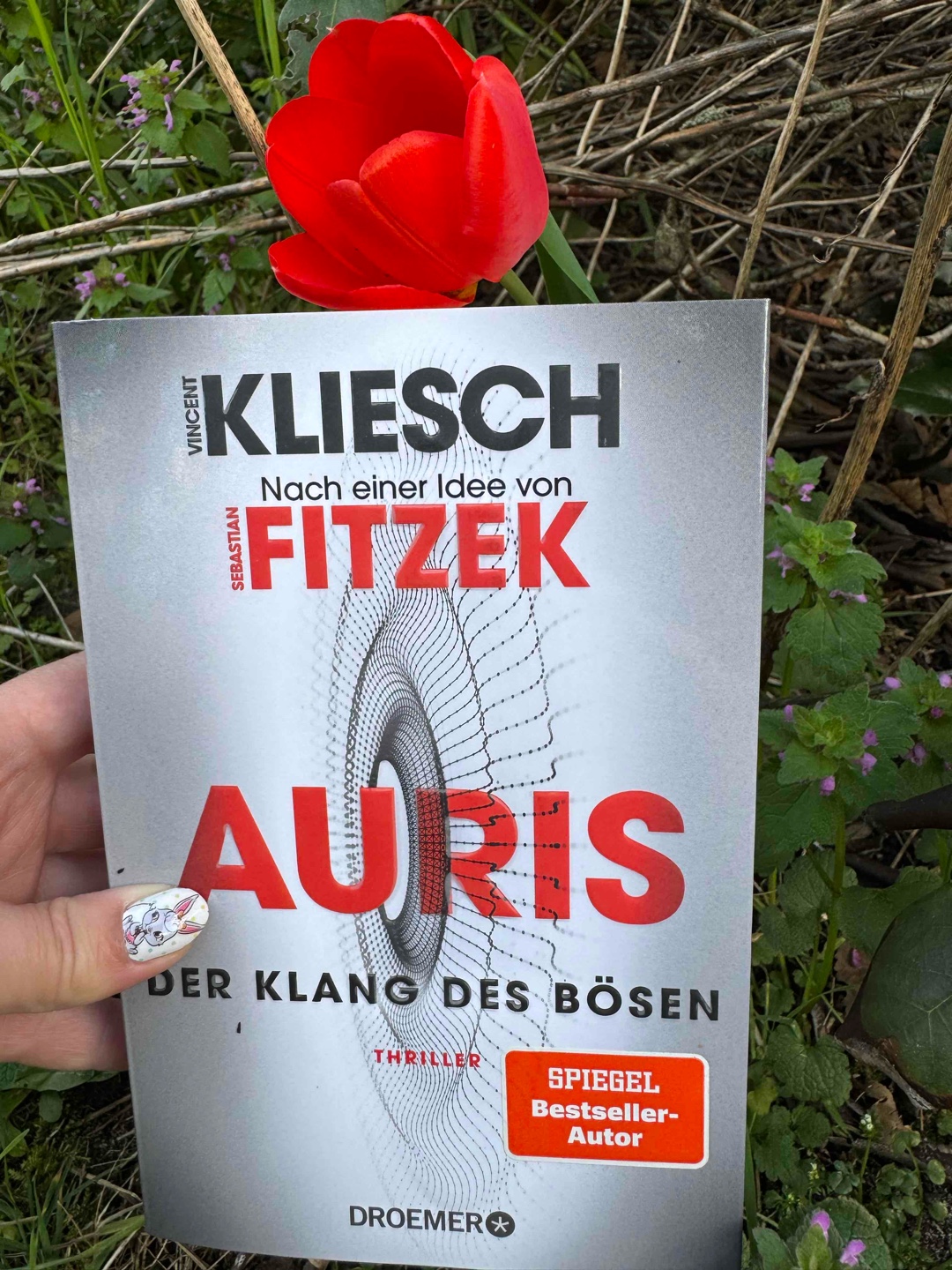 Wer die Aurisreihe mag, wird auch bei diesem Teil auf seine Kosten kommen