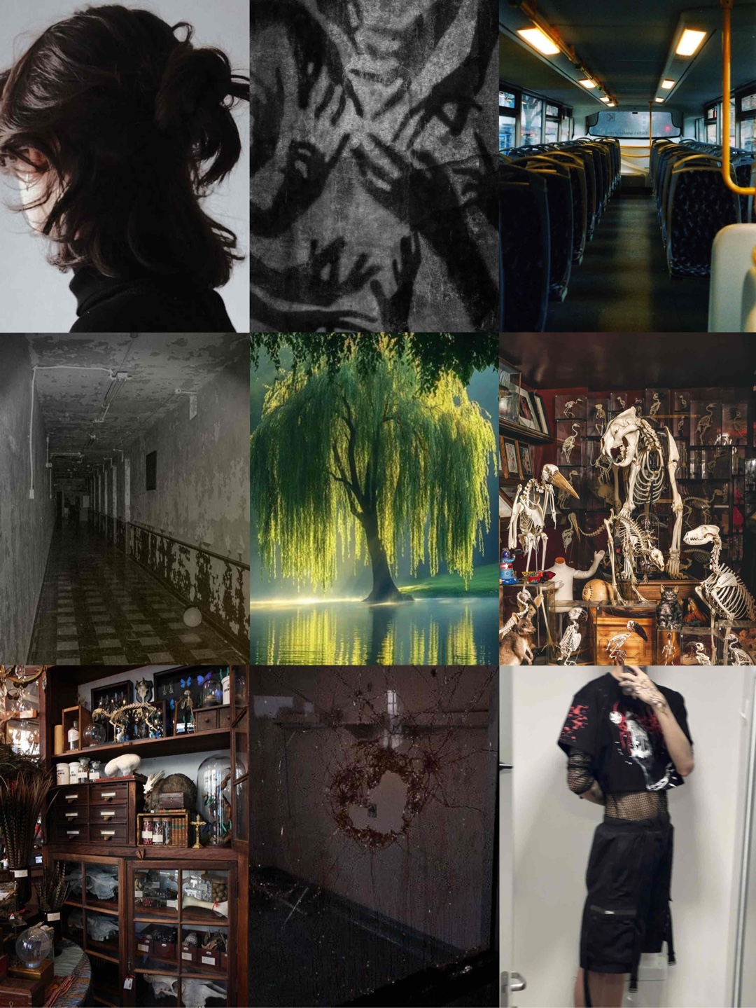 The Hollow Places - Ein finsteres Narnia voller unsichtbarer Monster und besessenen Kuriositäten💀🦫