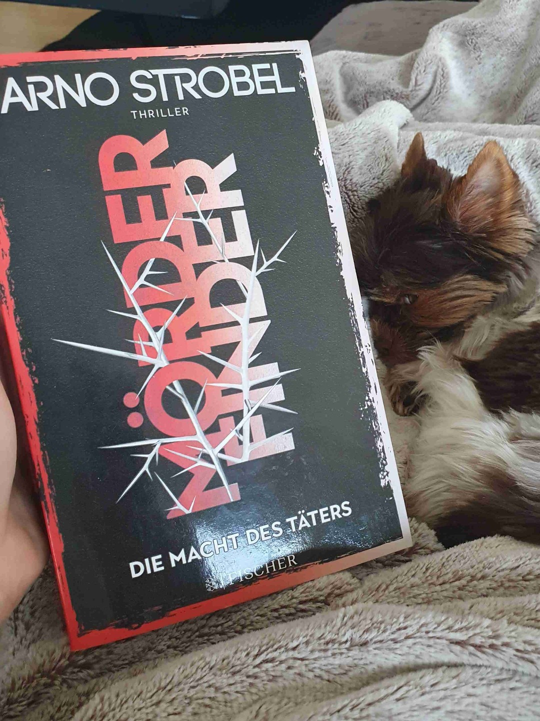 Eine Suche nach dem Mörder im Affenzahn