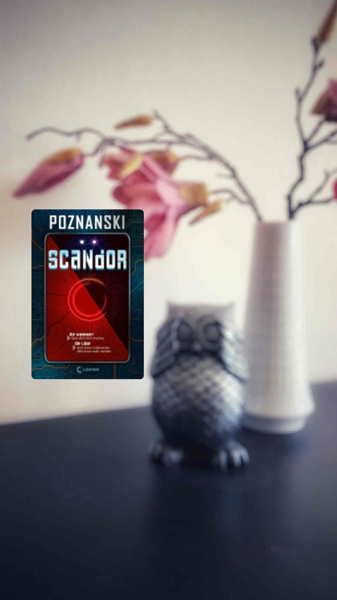Ein tolles Werk aus der Feder von Ursula Poznanski, die sich die Alltagslügen vorknöpft. Eine interessante Idee, die wunderbar umgesetzt wurde und in einem spannenden Finale endet. 
Ein tolles Lesevergnügen. Hat mir Spaß gemacht. 
