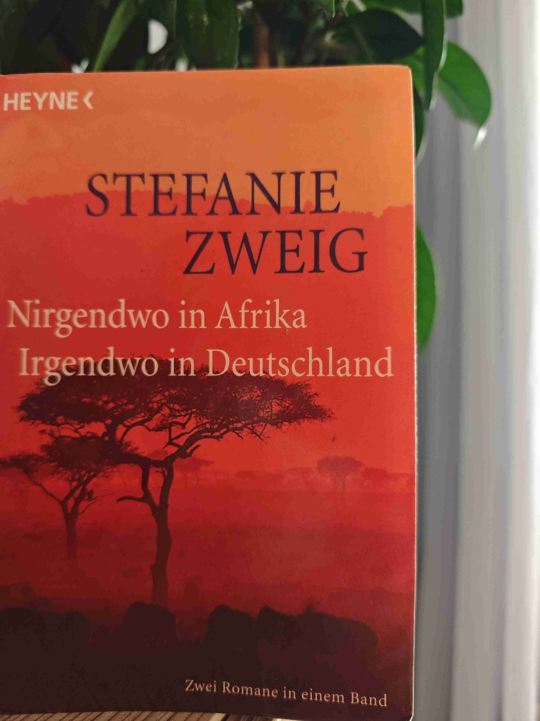 Eine Familiengeschichte, die sich lohnt zu lesen.
