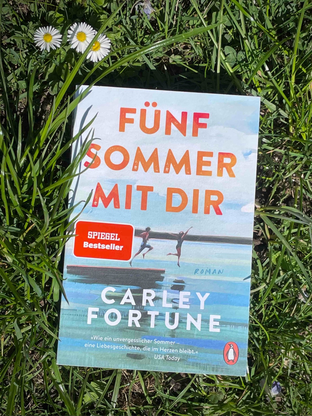 Eine süße Sommer-coming-of-Age-Liebesgeschichte, die mich tatsächlich überrascht hat.