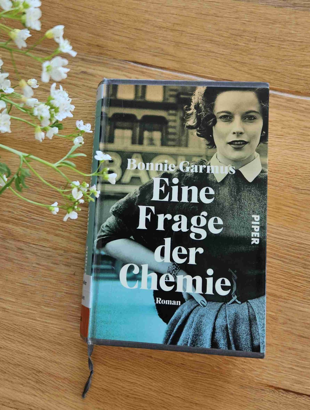 Super gerne gelesen!!!