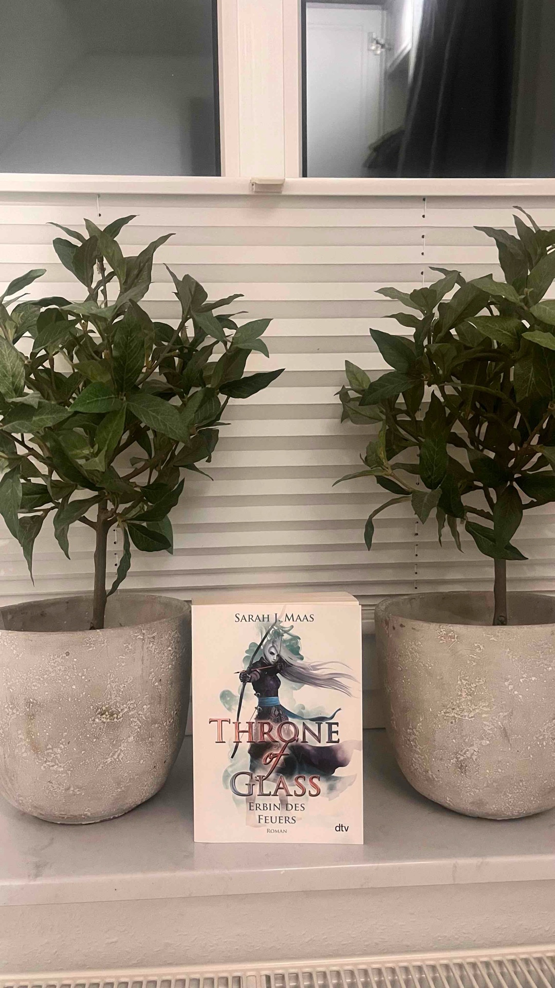 Throne of Glass 3