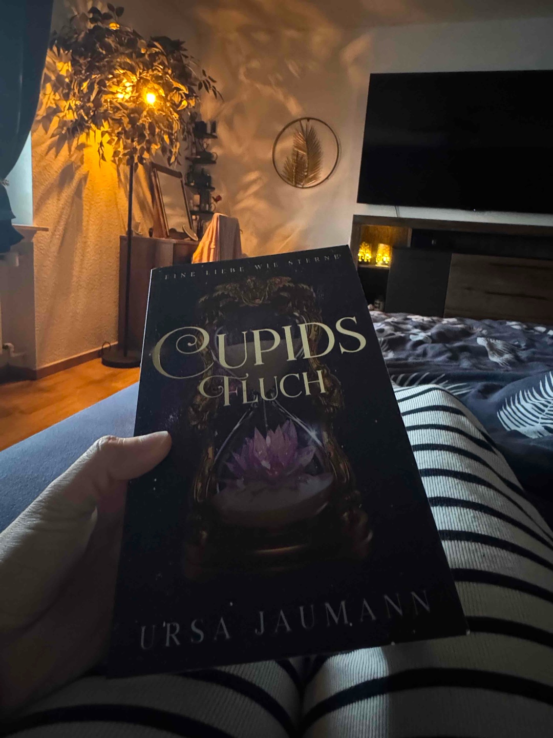 Das Buch ist leider so Underratet!!!
