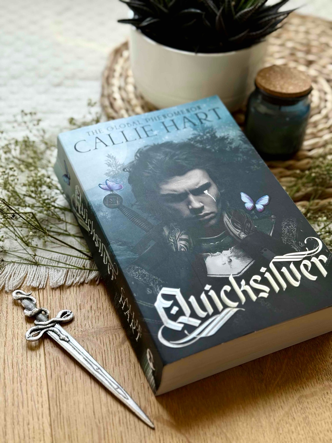 Quicksilver war nicht ganz mein Geschmack – zu viel Klischee, zu vorhersehbar. Aber: unterhaltsam war’s trotzdem. Die Welt hatte Potenzial, die Figuren haben überrascht und Kingfisher? Ganz klar das Highlight. Kein Must-Read, aber für einen lockeren Romantasy-Abend völlig okay.