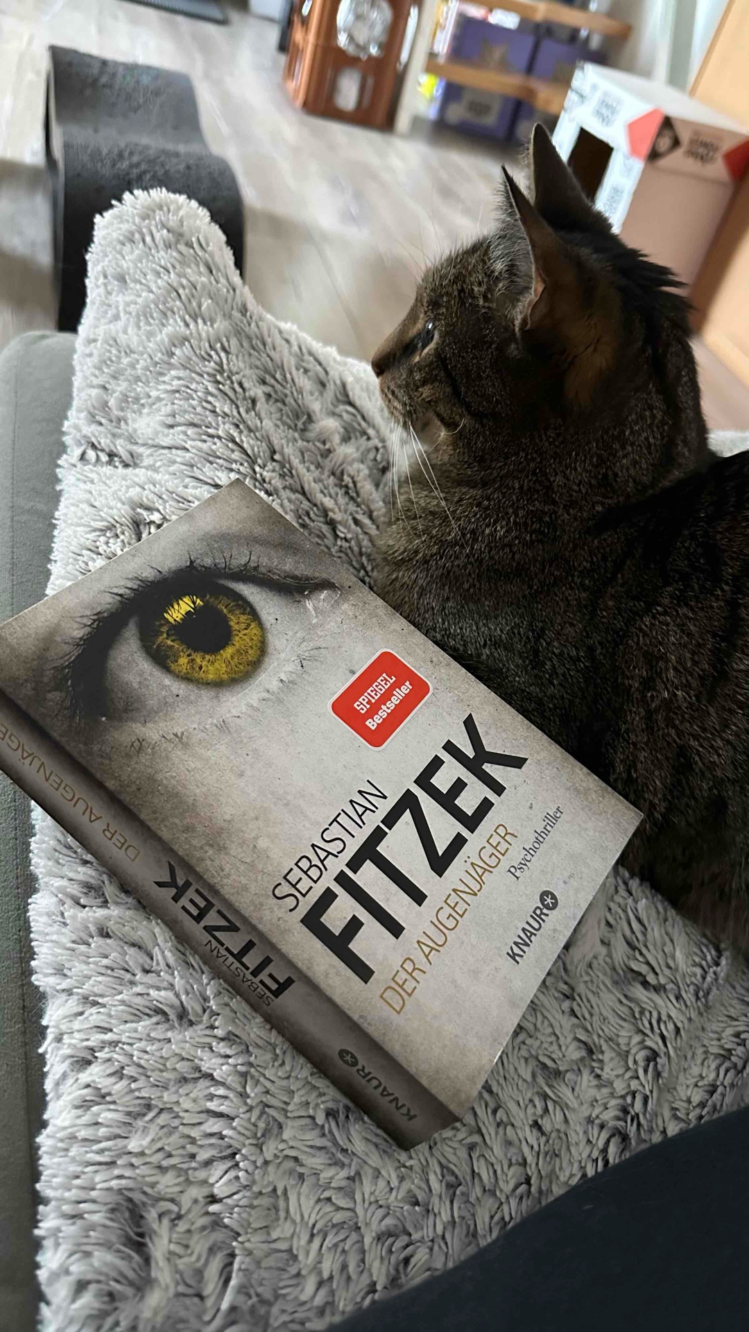 Eine wirklich gelungene Fortsetzung 🤩