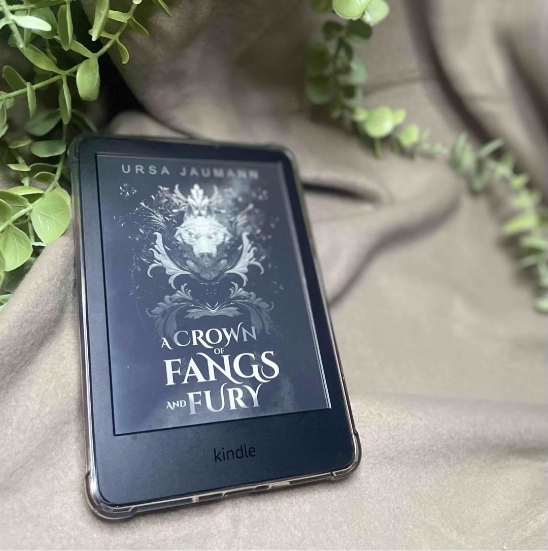 Ein guter Stand Alone Fantasyroman, dessen tolle Story am Ende abgewürgt wird