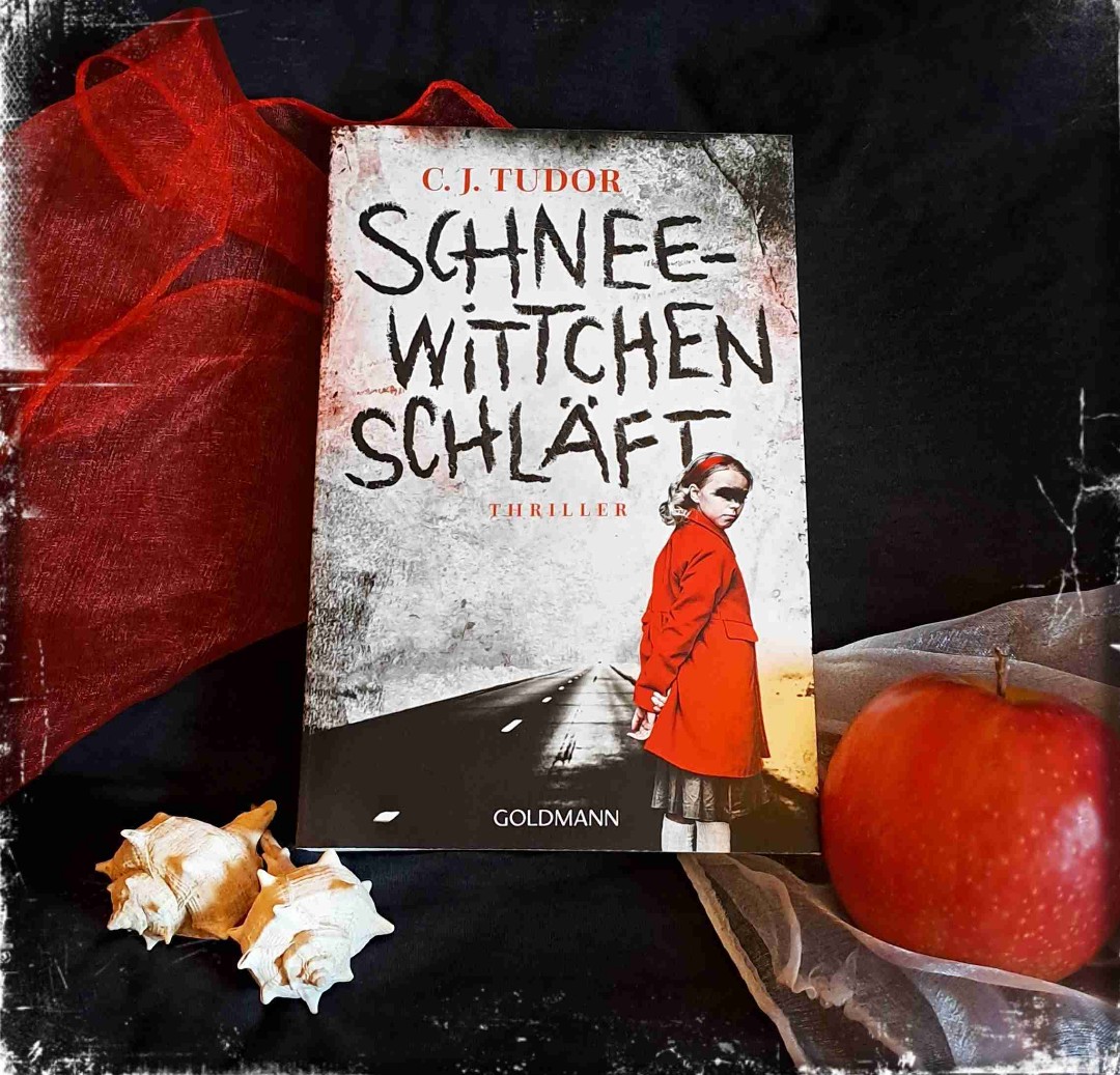 Guter Thrillerplot, aber der Rest... 🫣