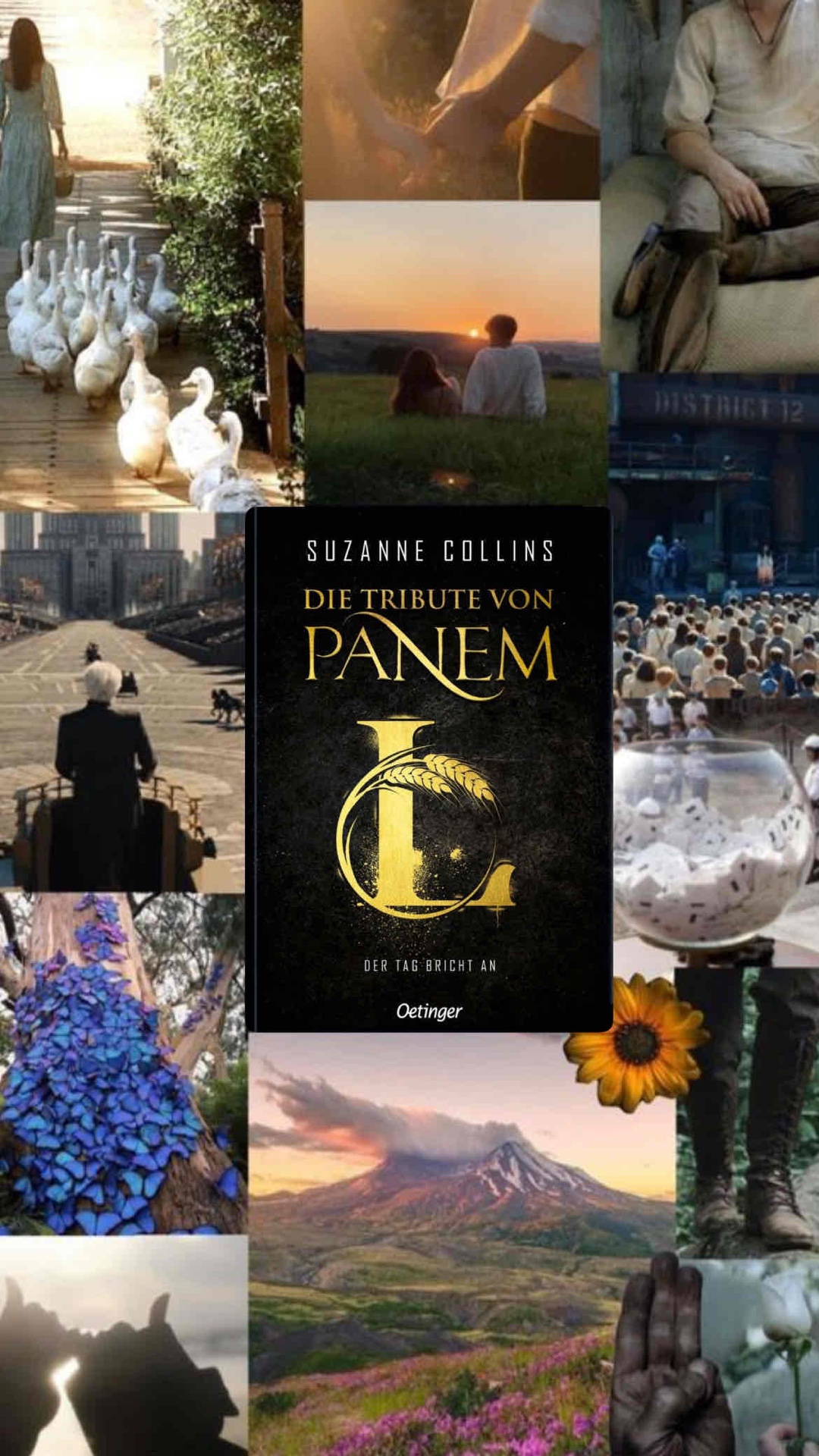 Für Fans von Haymitch + Tribute von Panem ein Muss!