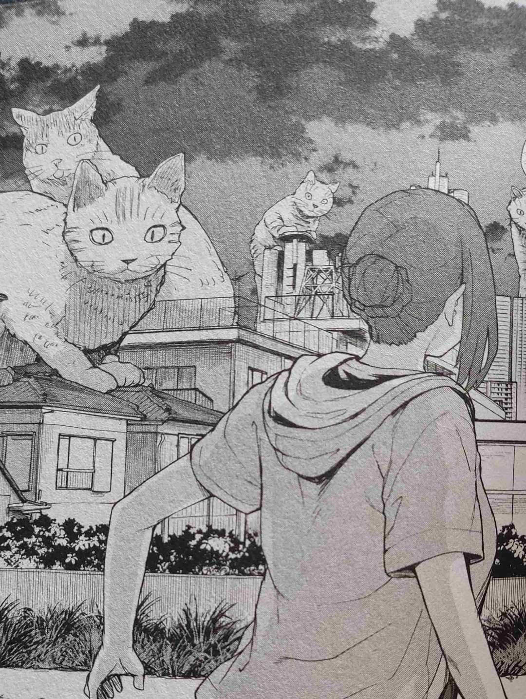 Der Katzenkönig