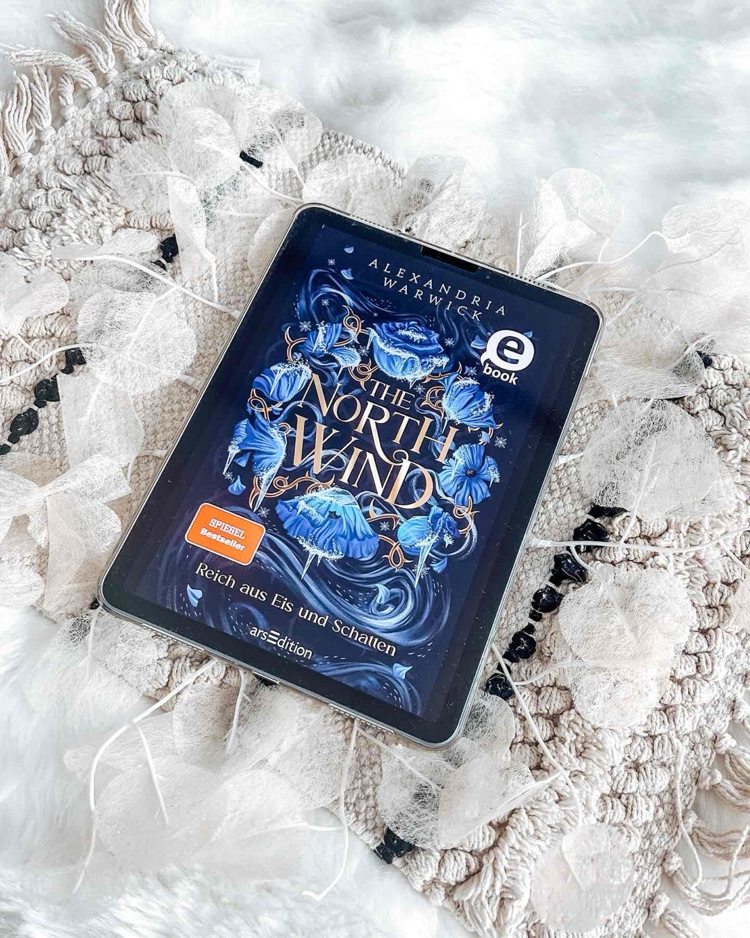 Starke, eigensinnige Protagonistin x märchenhafte Romantasy 🌬️❄️🤴🏻👰🏽♀️🏹⚔️📚🍰