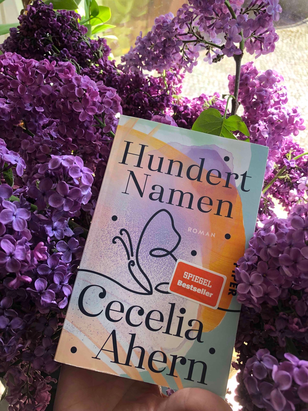 Eine leichte Story mit einer tiefgreifenden Botschaft 🥰
