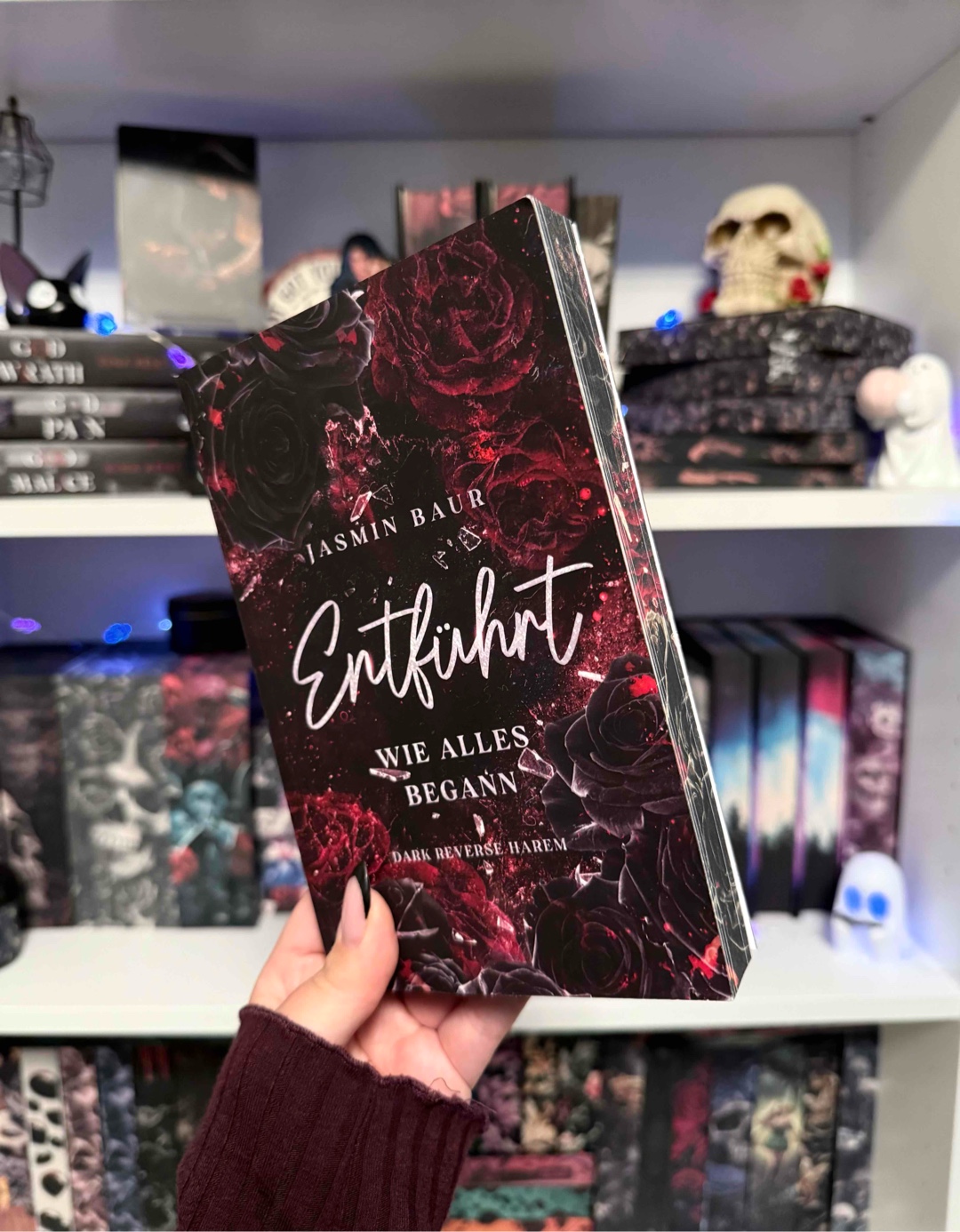 🥀>>WIE ALLES BEGANN<<🥀
