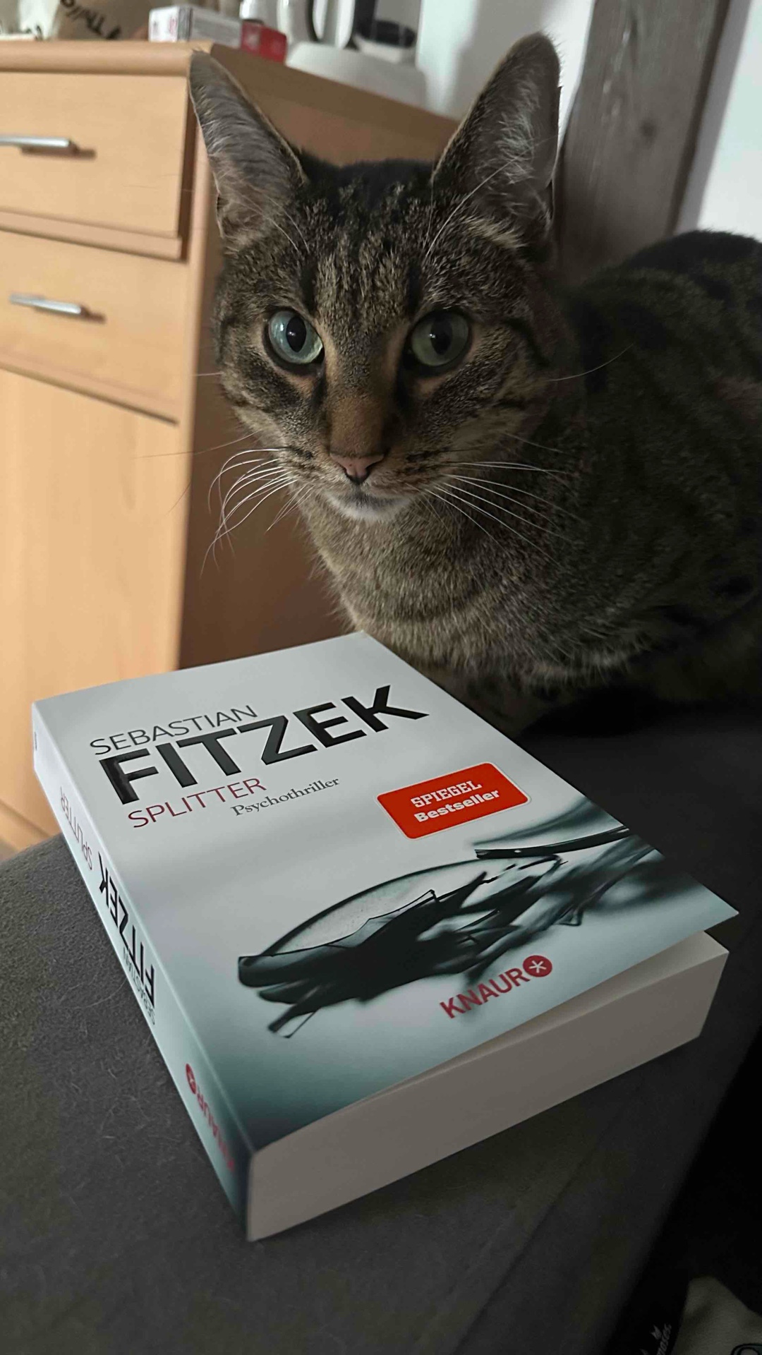 Der beste Fitzek 