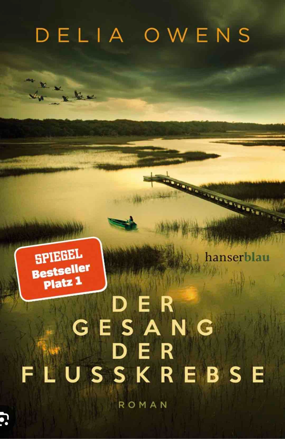 Emotional und packend – aber nicht mein absolutes Lieblingsbuch