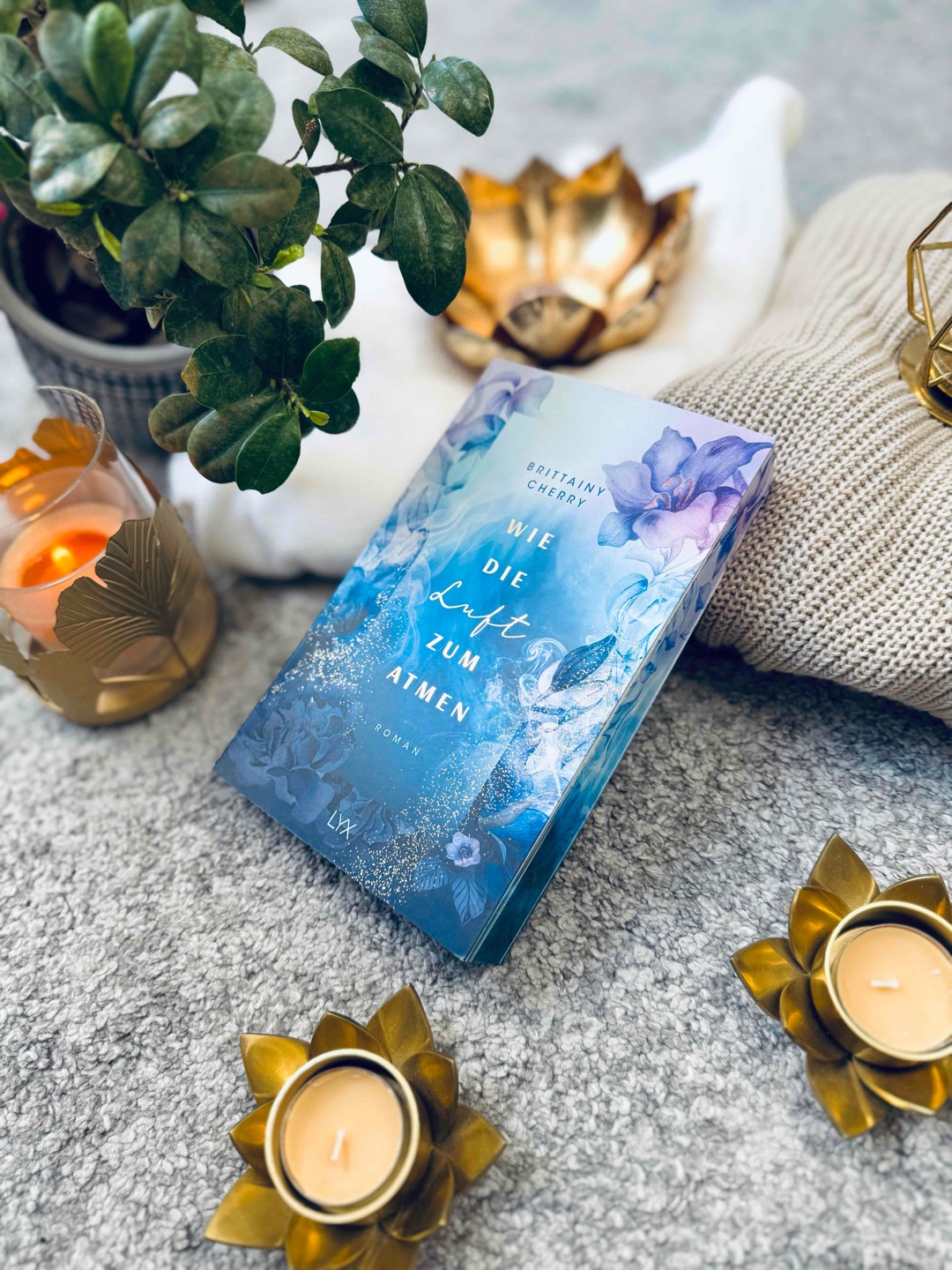 Ein gutes Buch für zwischendurch, hatte mir etwas mehr erhofft, war aber trotzdem gut!🦋💙