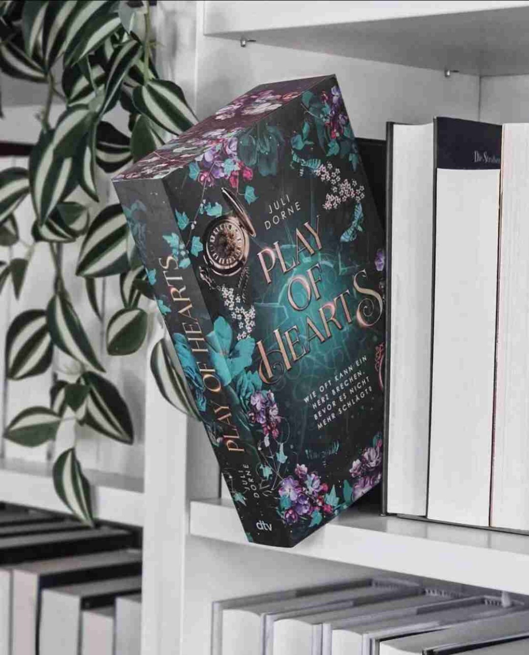 Eine klare Empfehlung für all jene, die beim Lesen mitdenken möchten und sich auf emotionale Geschichten einlassen können.