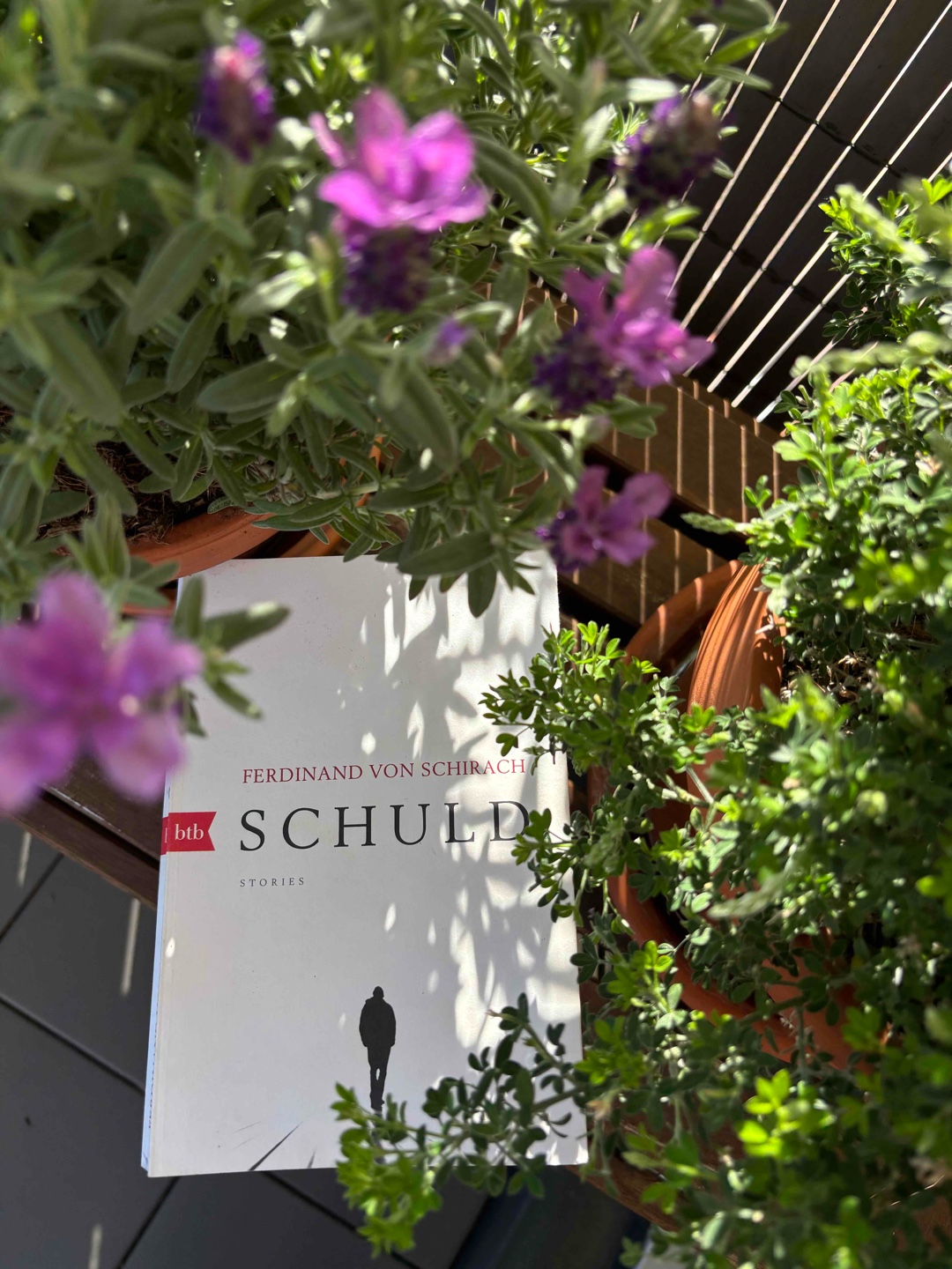 Zwischen Recht, Schuld und Menschlichkeit