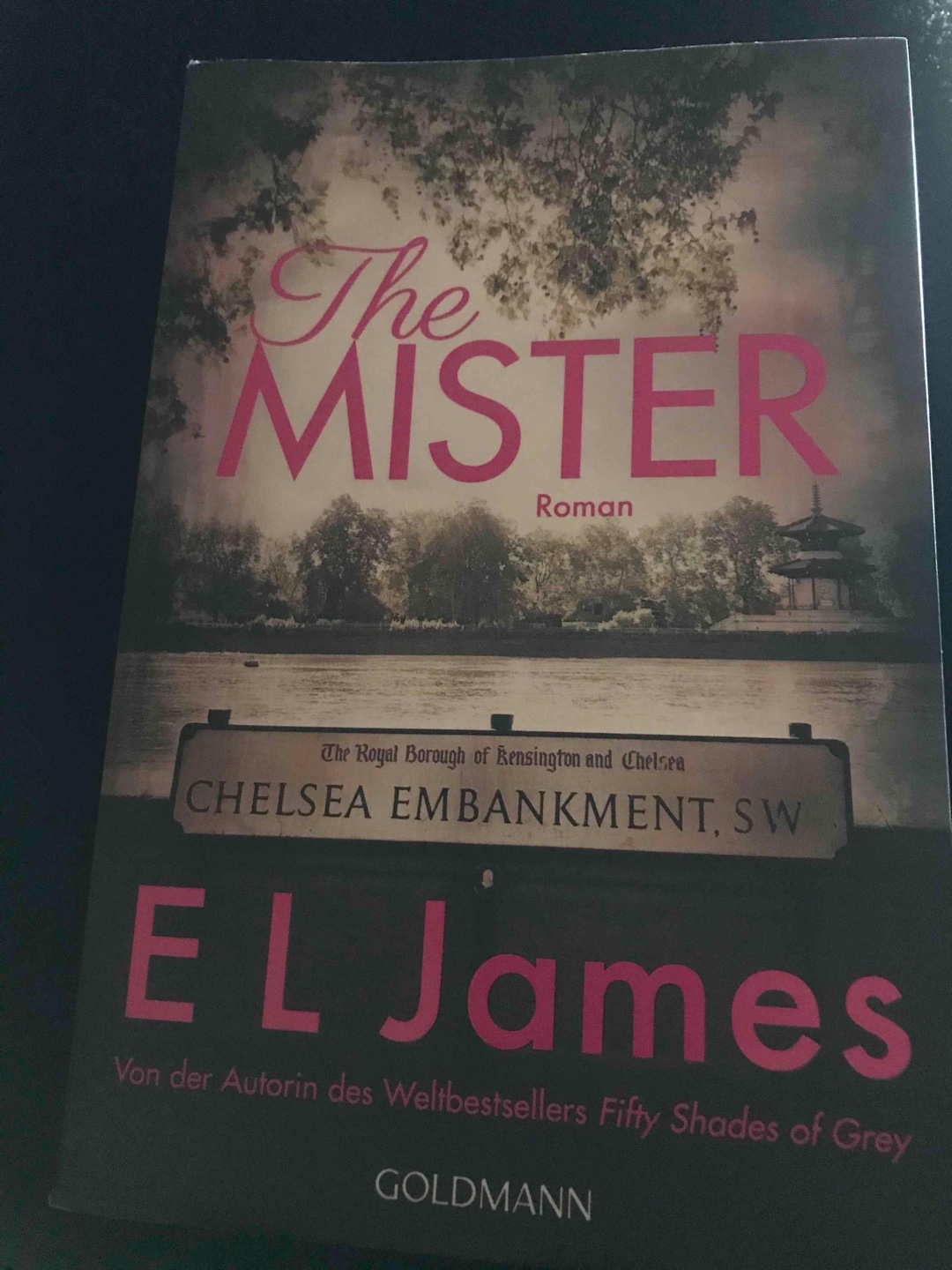 Wow, was für ein Buch! 😳
Anfangs war ich natürlich etwas skeptisch, aber je mehr ich las, desto besser wurde es. Was ich sehr gut fand, ist, dass die Sex-Szenen zwischen Alessia und Maxim nicht total den Fokus auf sich nahmen, sondern dass es auch sehr viel um das Drumherum ging. Jedenfalls war auch viel Spannung dabei und man hat gegen Ende tatsächlich ziemlich mitgefiebert mit Alessia und Maxim jeweils.
Im Gesamten ein echt gutes und unterhaltsames Buch! 😊
