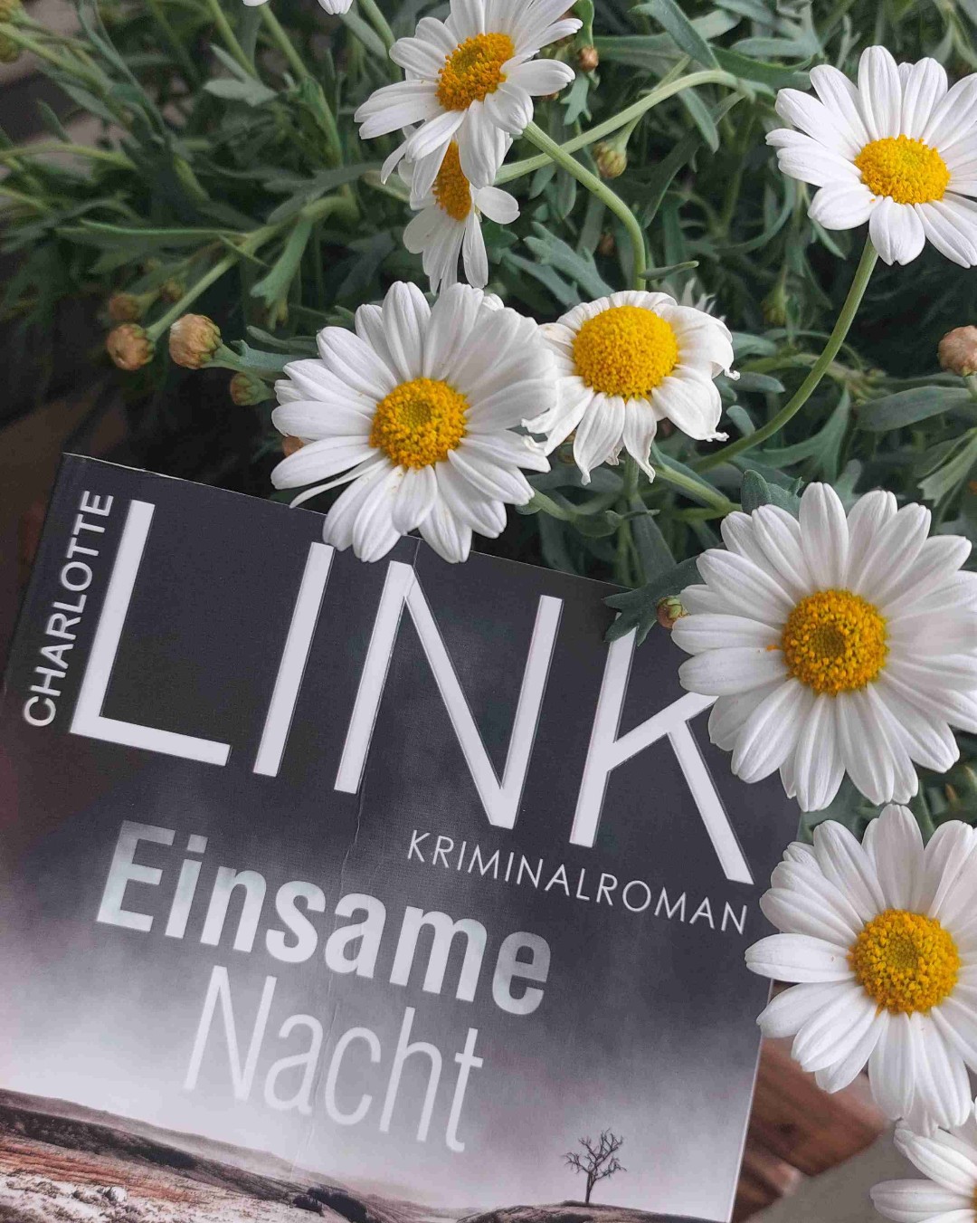 Ich mag Charlotte Link und ich mag Kate Linville - war mal wieder eine tolle Kombi. Ein Weihnachtskrimi im Frühsommer - auch eine interessante Kombi 😄
