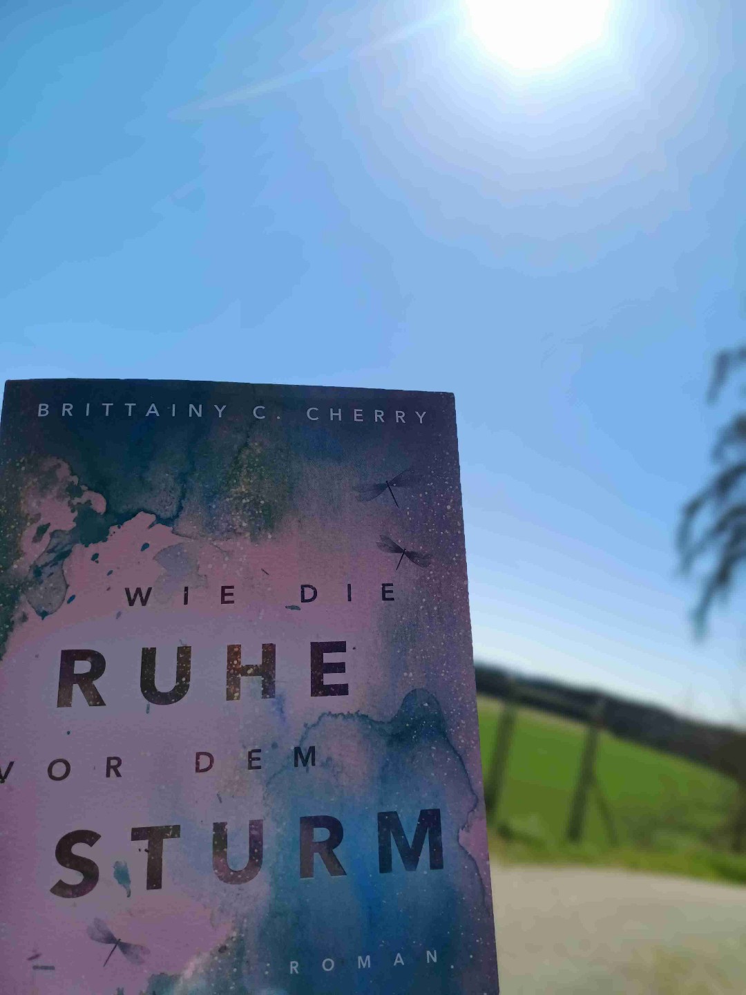 "Sie war sie, ich war ich, und wir waren wir.
Das war unsere Geschichte.
Das war unser Für immer und unsere Ewigkeit.
Und es würde wunderschön werden."