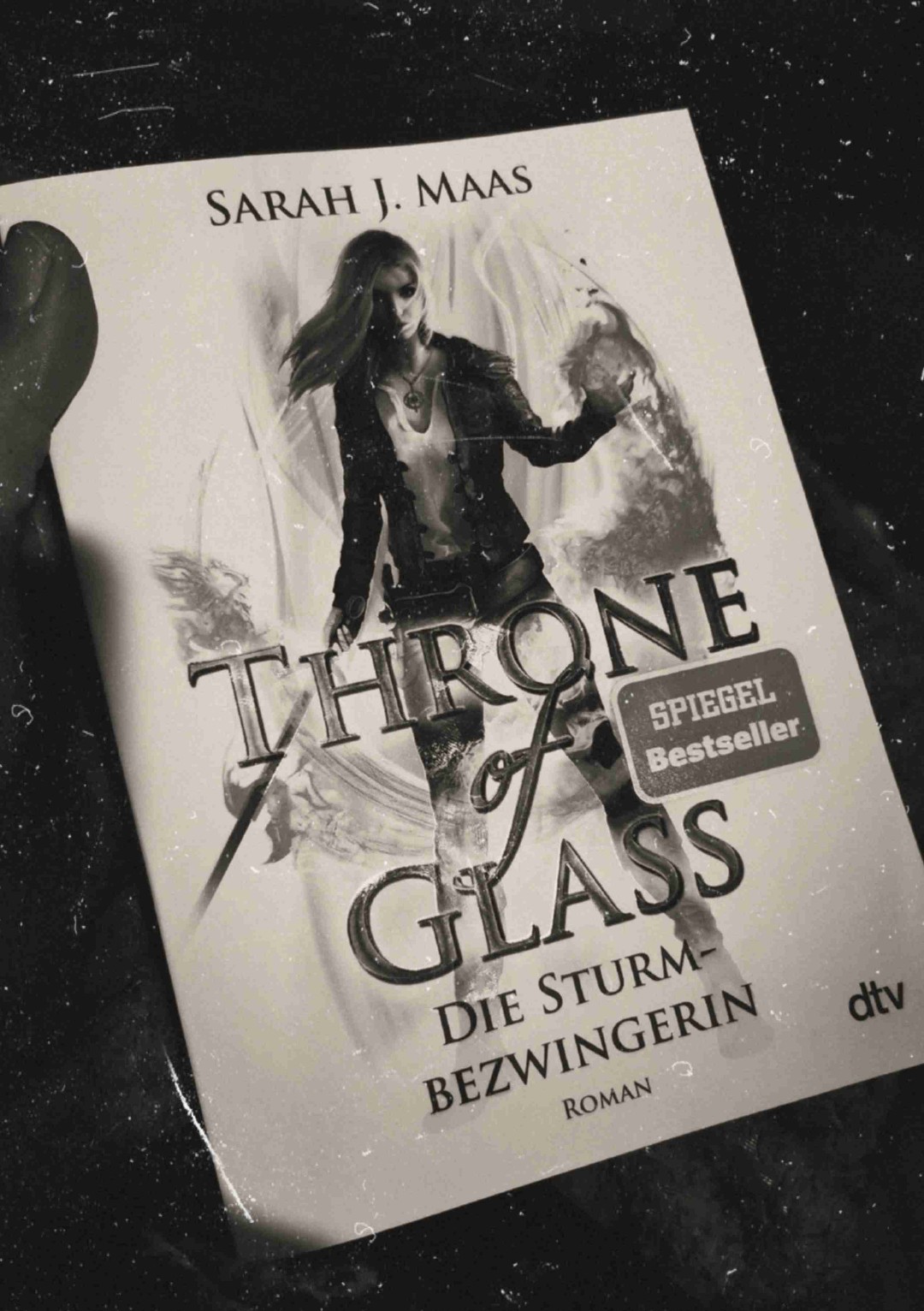 Den 5. und 6. Teil habe ich tandem gelesen und auch Aelins Geschichte. Was für eine Story. Spannend bis zum Schluss mit absoluten Gänsehaut Momenten als Aelins Plan aufgeht. Die Geschehnisse am Strand haben mein Herz zerrissen! Nun folgen die letzten Seiten im Buch 6. Ich glaube bei der wahnsinnigen Entwicklung wird mein Herz noch gänzlich zersplittern .. ich bin fix und alle..