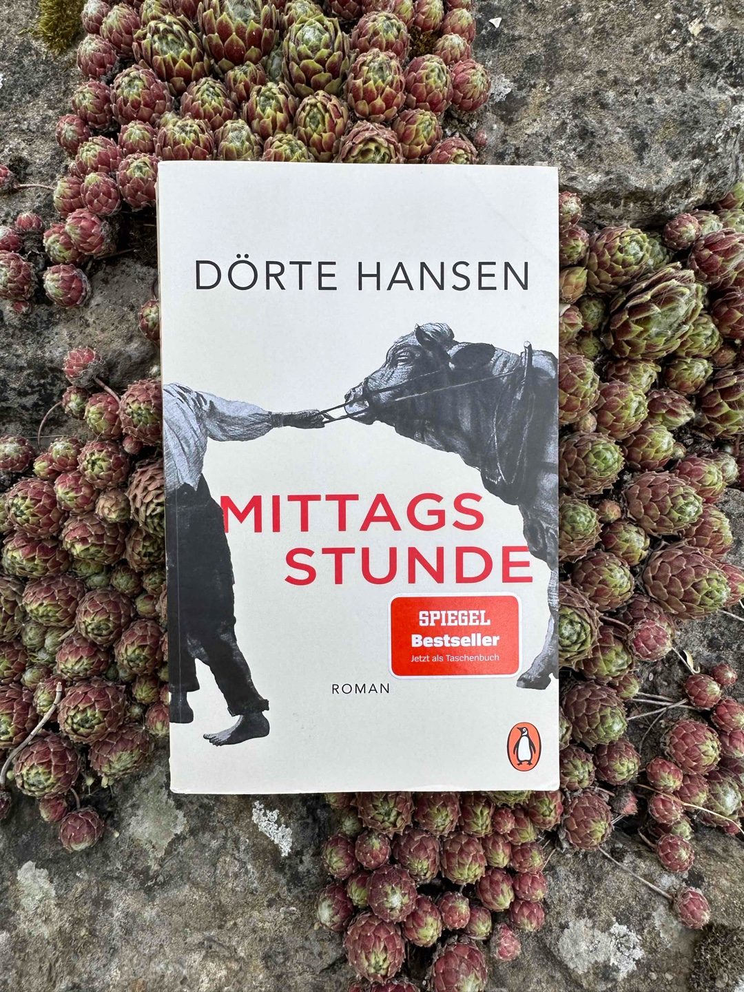 „Ella konnte schweigen, wie die Tanzsaalwände und der Eichenboden, die auch alles wussten über Brinkebüll und nichts verrieten. Weghören oder schweigen, eins von beidem musste man gut können, wenn man einen Gasthof führen wollte.“