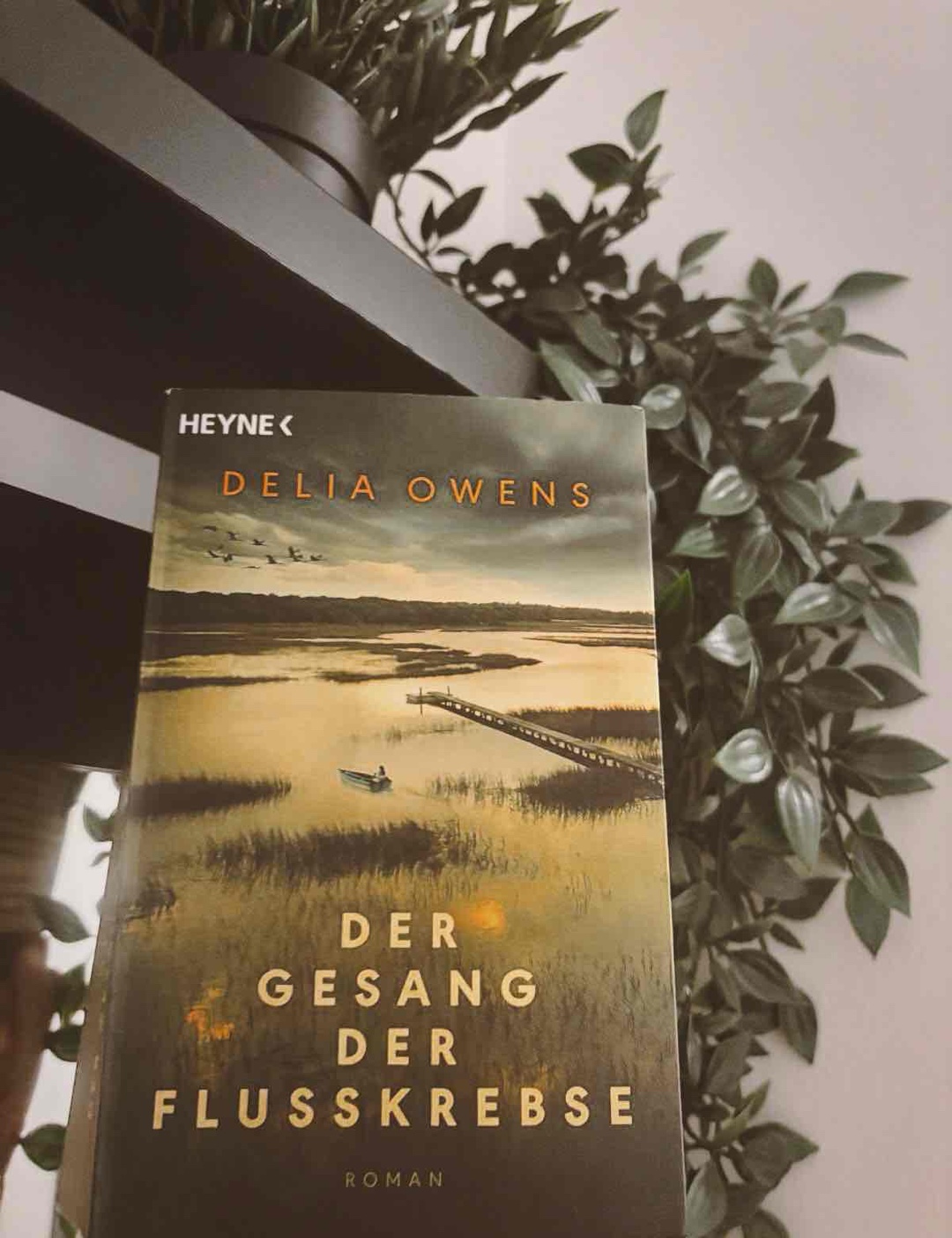 „Manchmal ist das Herz zu zerbrechlich, um noch einmal zu vertrauen.“