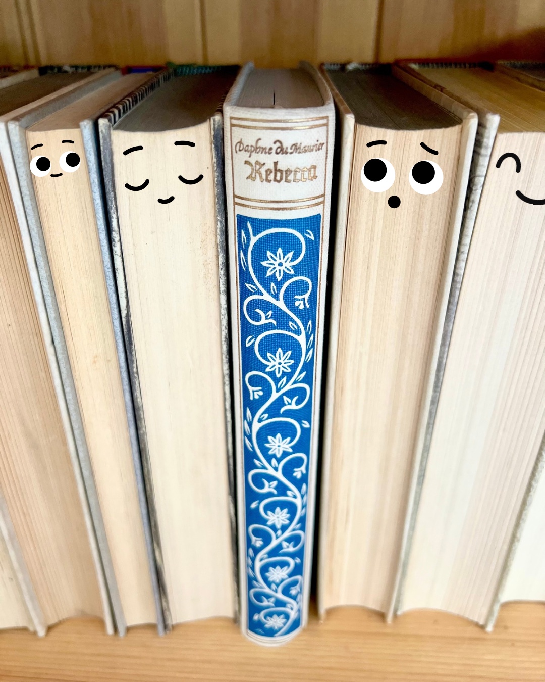 Rebecca ist für mich nicht einfach nur ein spannender Roman – es ist ein intensives Leseerlebnis, das mich auch nach dem letzten Satz noch lange beschäftigt hat. Ich kann das Buch wirklich jeder Person empfehlen, die gerne in Geschichten eintaucht, die unter die Haut gehen.