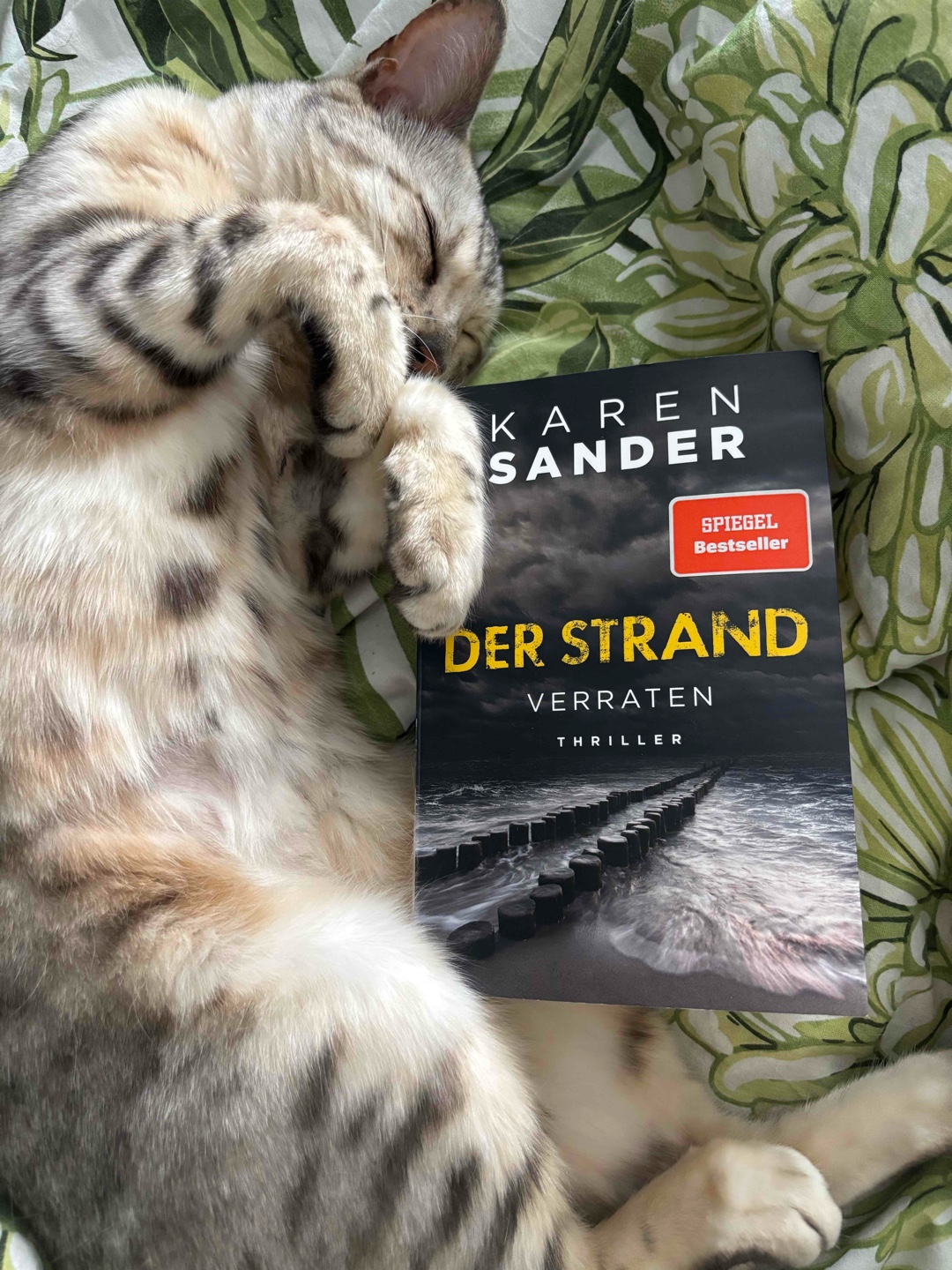 Trockener Anfang, feuchtes Ende