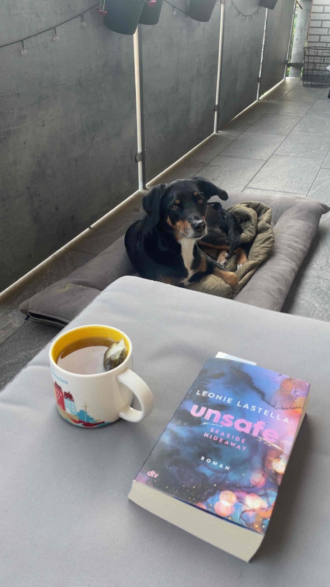 Gute Mischung aus Spannung und Romance