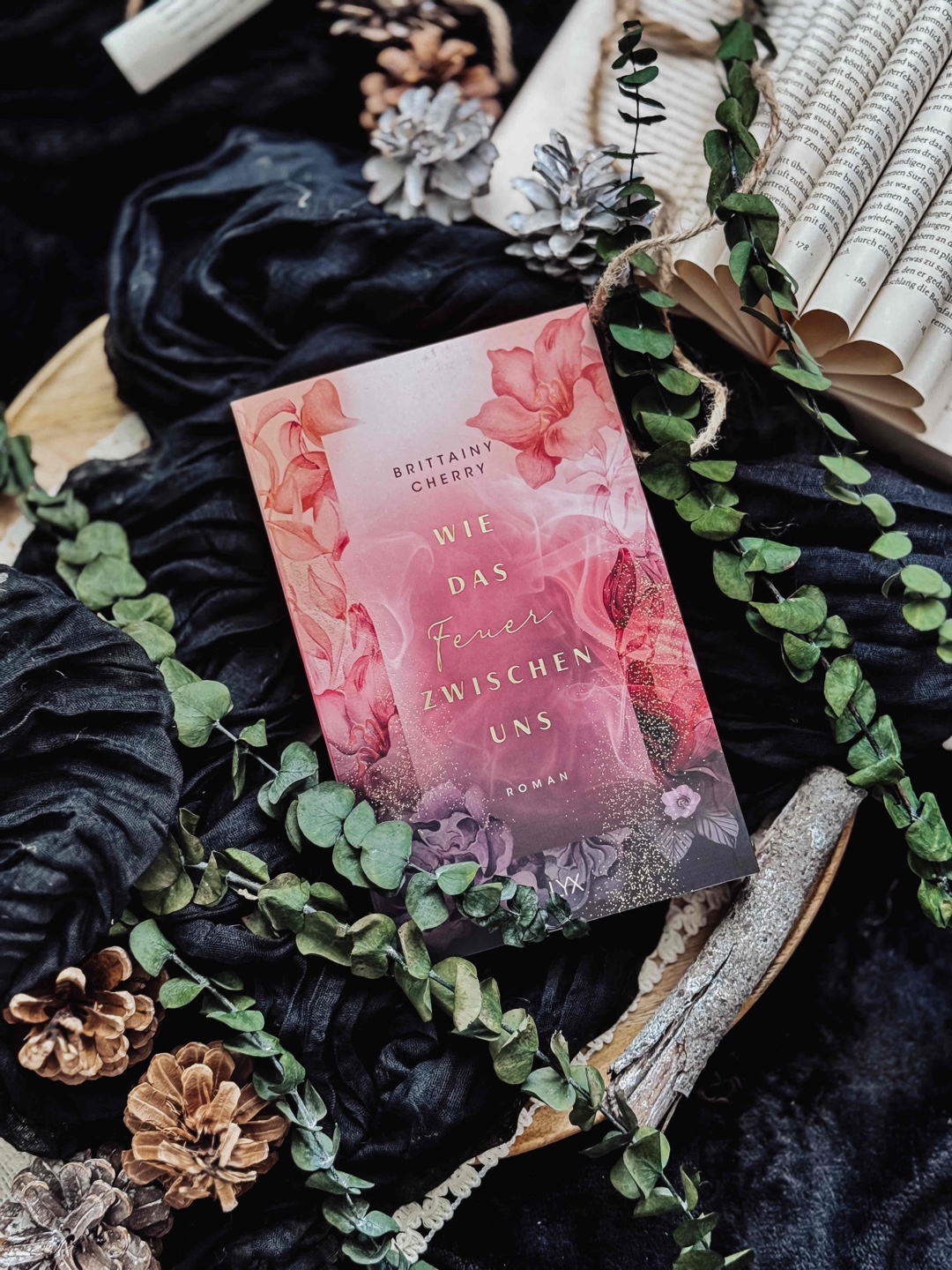 𝑅𝑒𝑧𝑒𝑛𝑠𝑖𝑜𝑛:  Wie das Feuer zwischen uns 3,5/𝟓 ⭐️