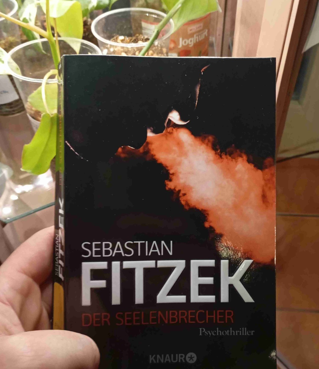 Für ein sehr schwacher Fitzek 