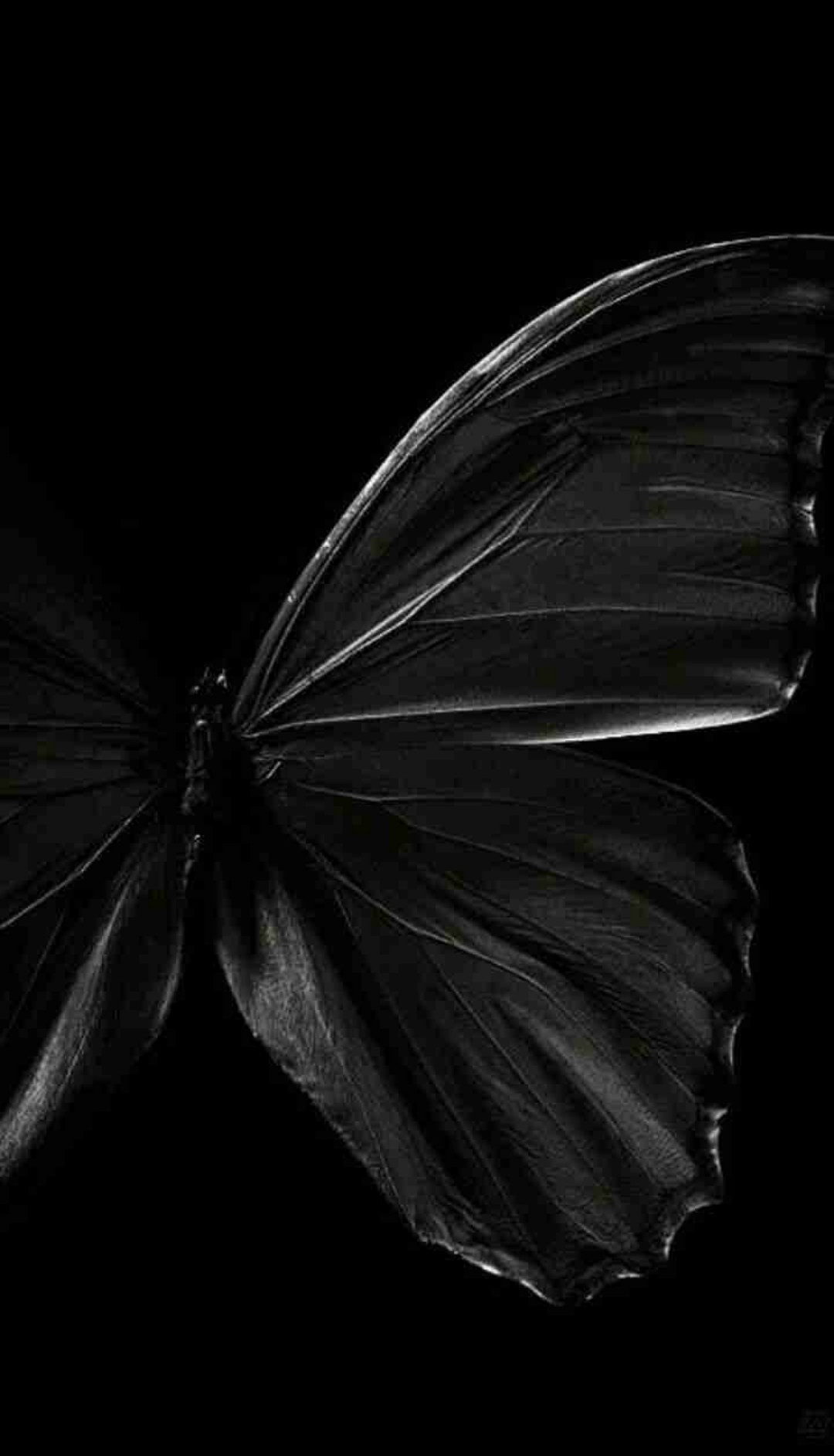 Ihre Hand liegt auf meiner Brust, direkt über meinem Herzen, was nur für sie so kräftig und stetig unter meinen Rippen schlägt. Ich lebe und sterbe nur noch für dich, Baby!🦋🩵