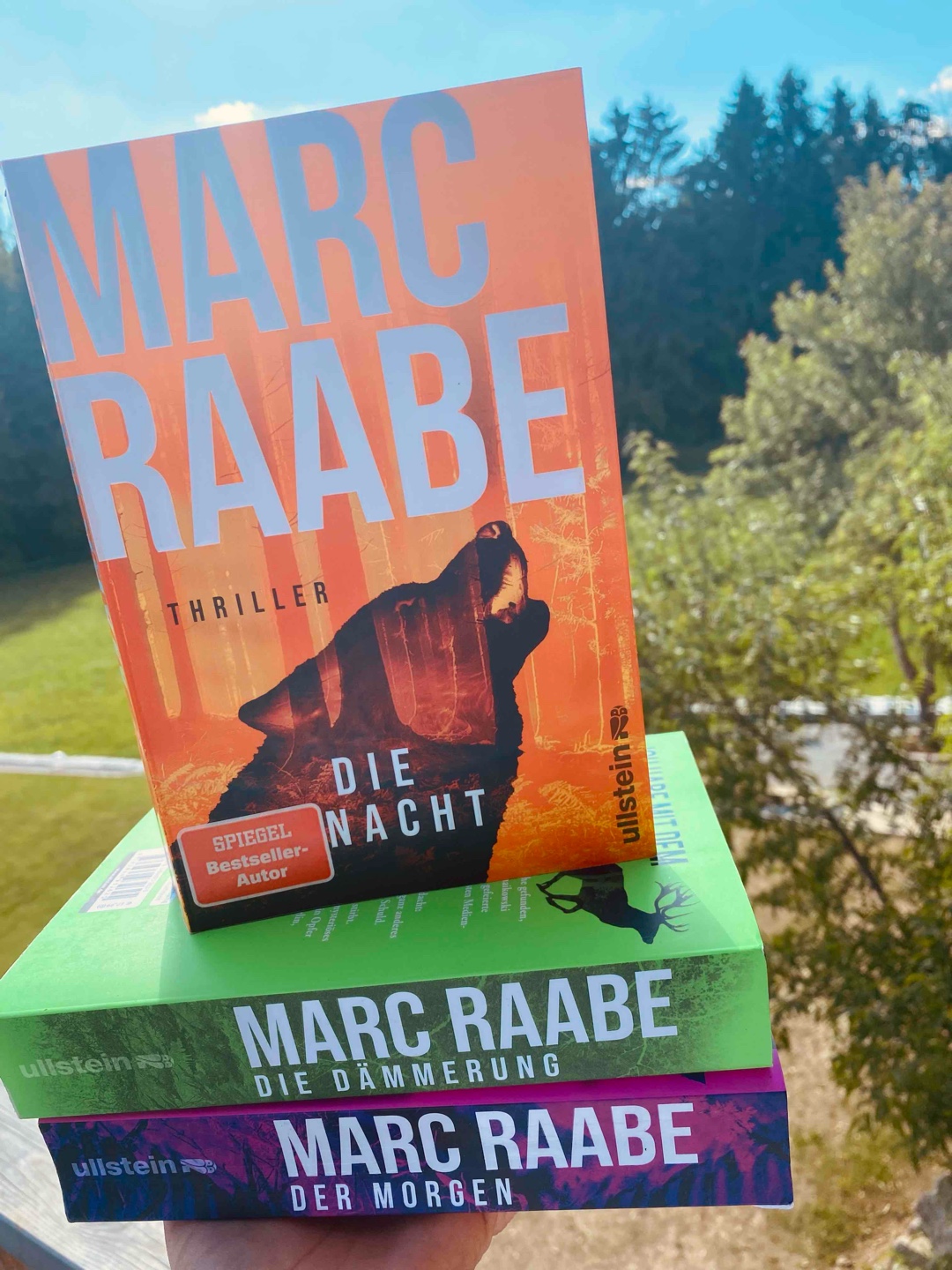 Art Mayer, die Dritte: spannend und mitreißend!
