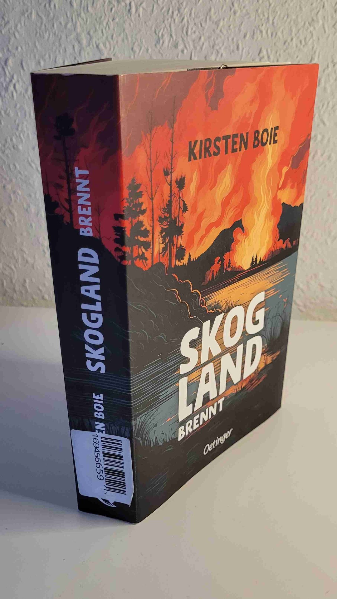 13 Jahre habe ich auf dieses Buch gewartet!