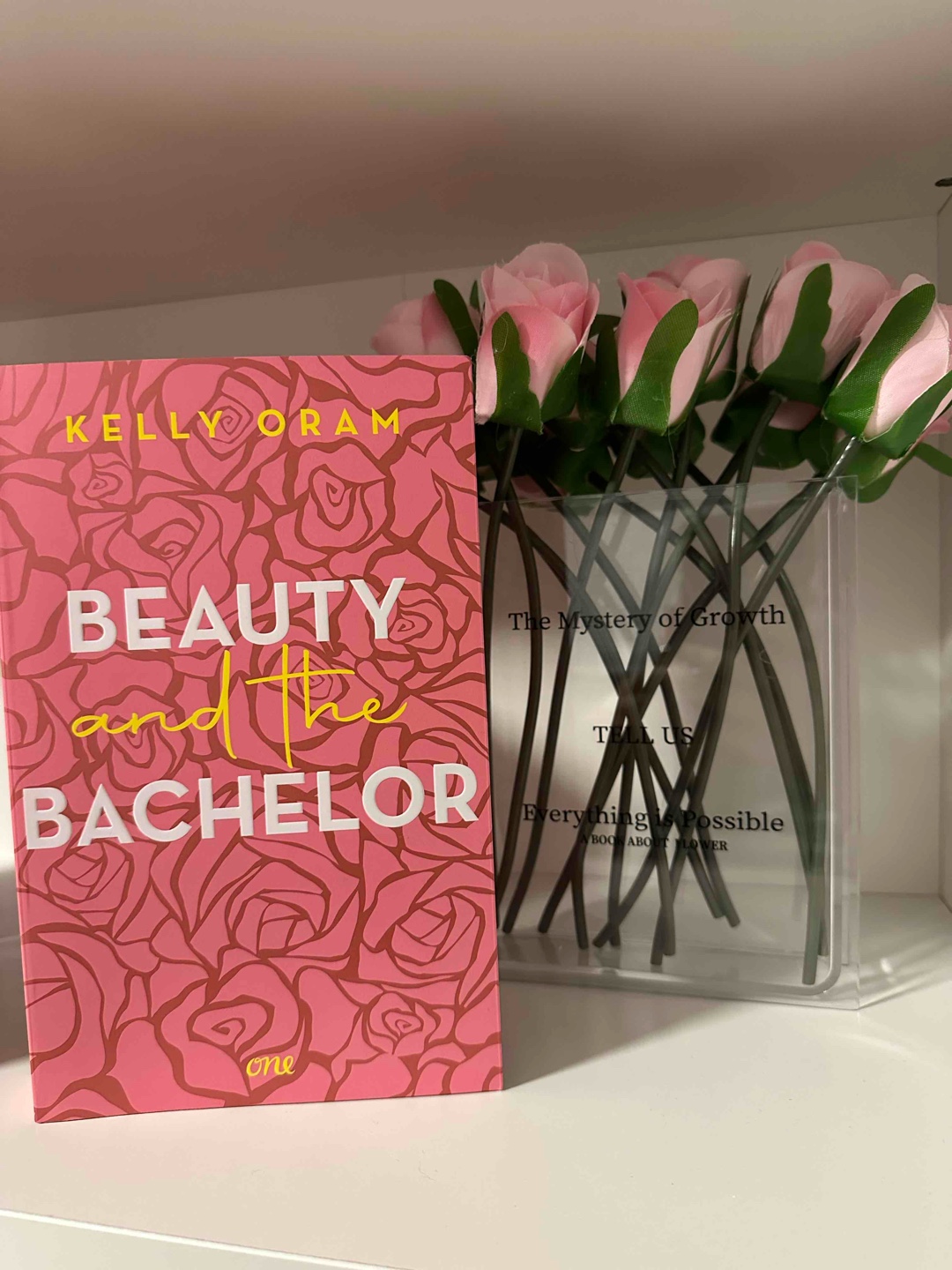 Süße Bachelor Style Romance 