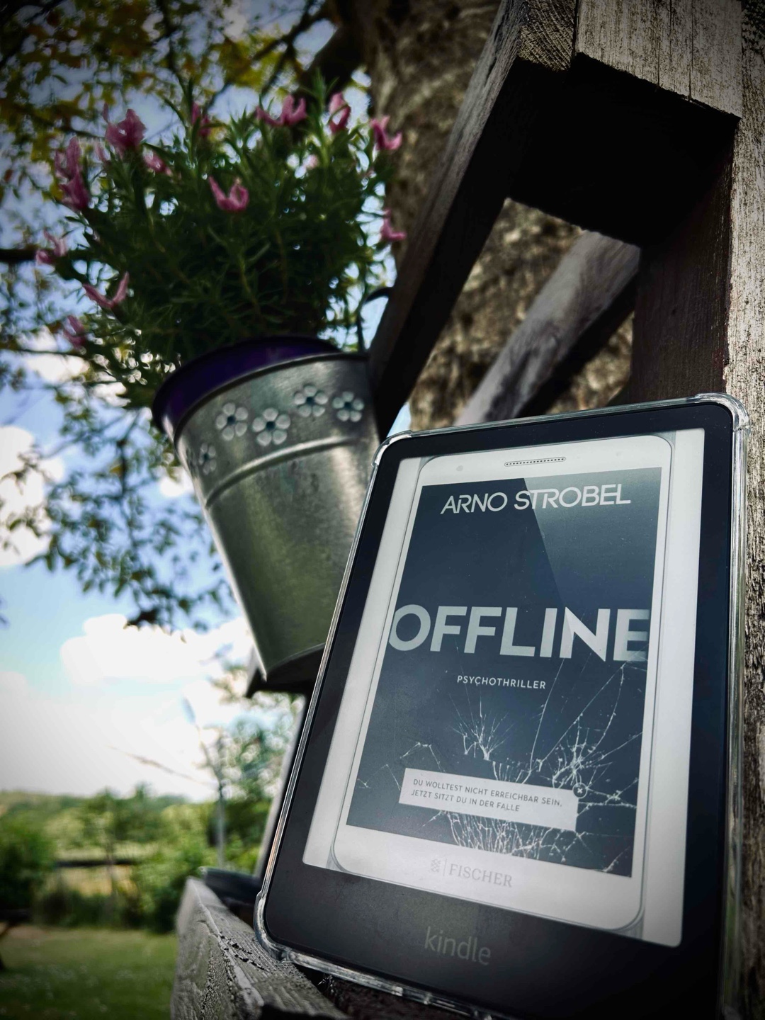 Das Verhängnis- Digital Detox! 📕