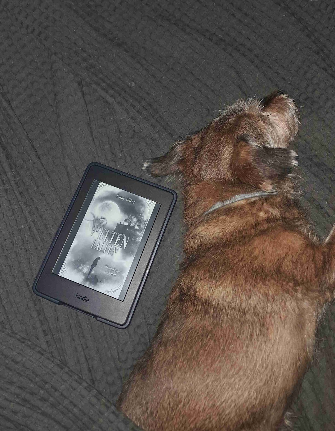 ALSO
Kindle/Audible