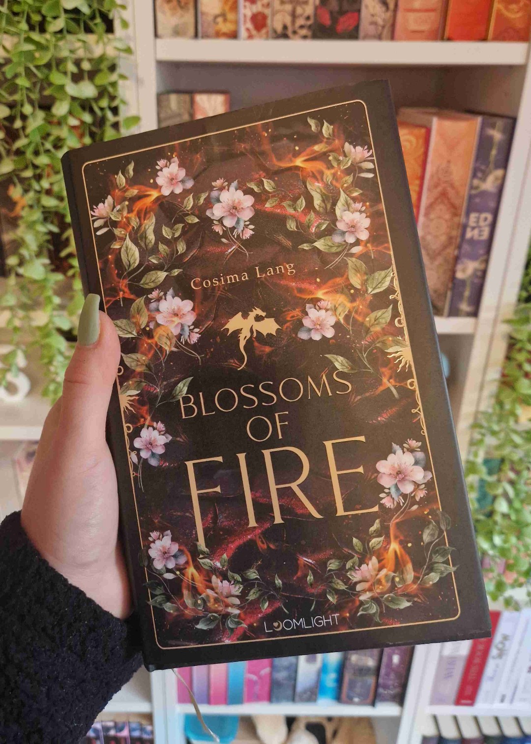 Cozy Drachen fantasy Love-Story