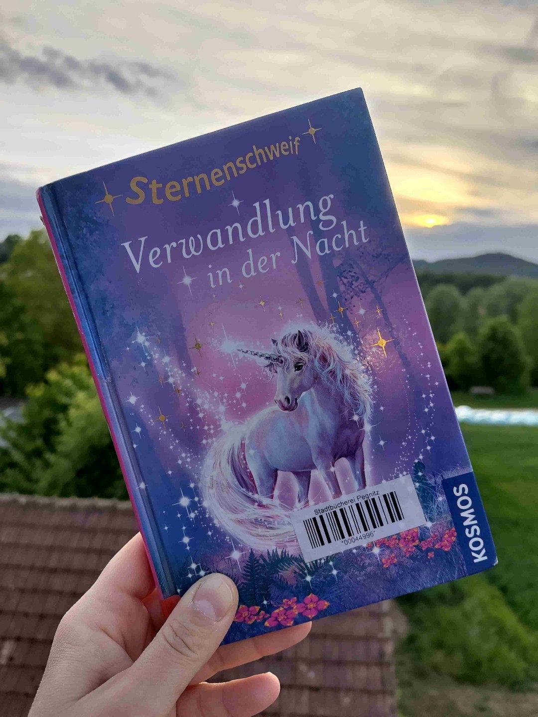Sternenschweif 🦄💗 Band 52