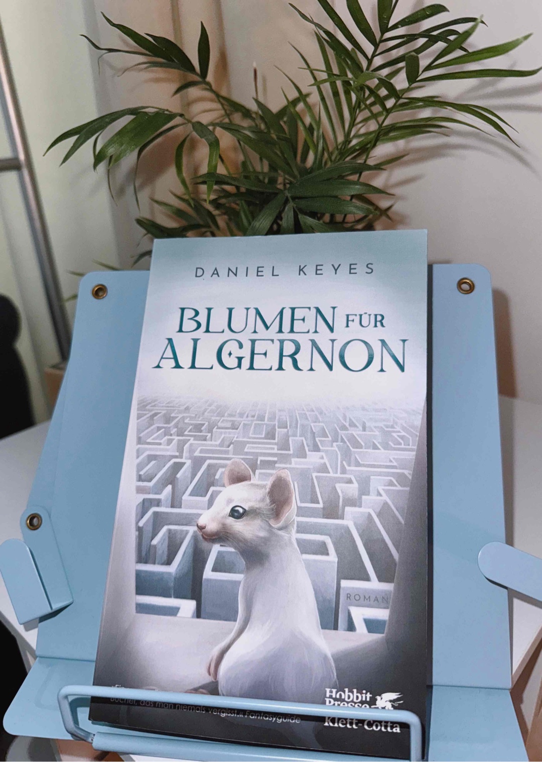 „Ich dachte, wenn ich klug bin, wird alles besser. Aber es ist komplizierter geworden.“