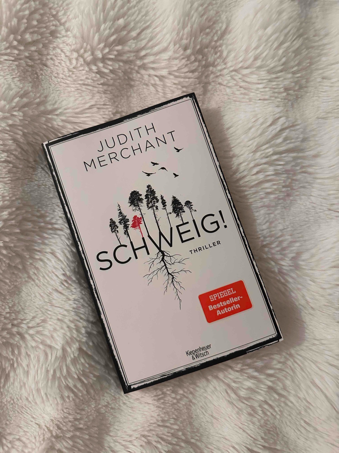 Nach dem Schildkrötentrauma kommt das… 