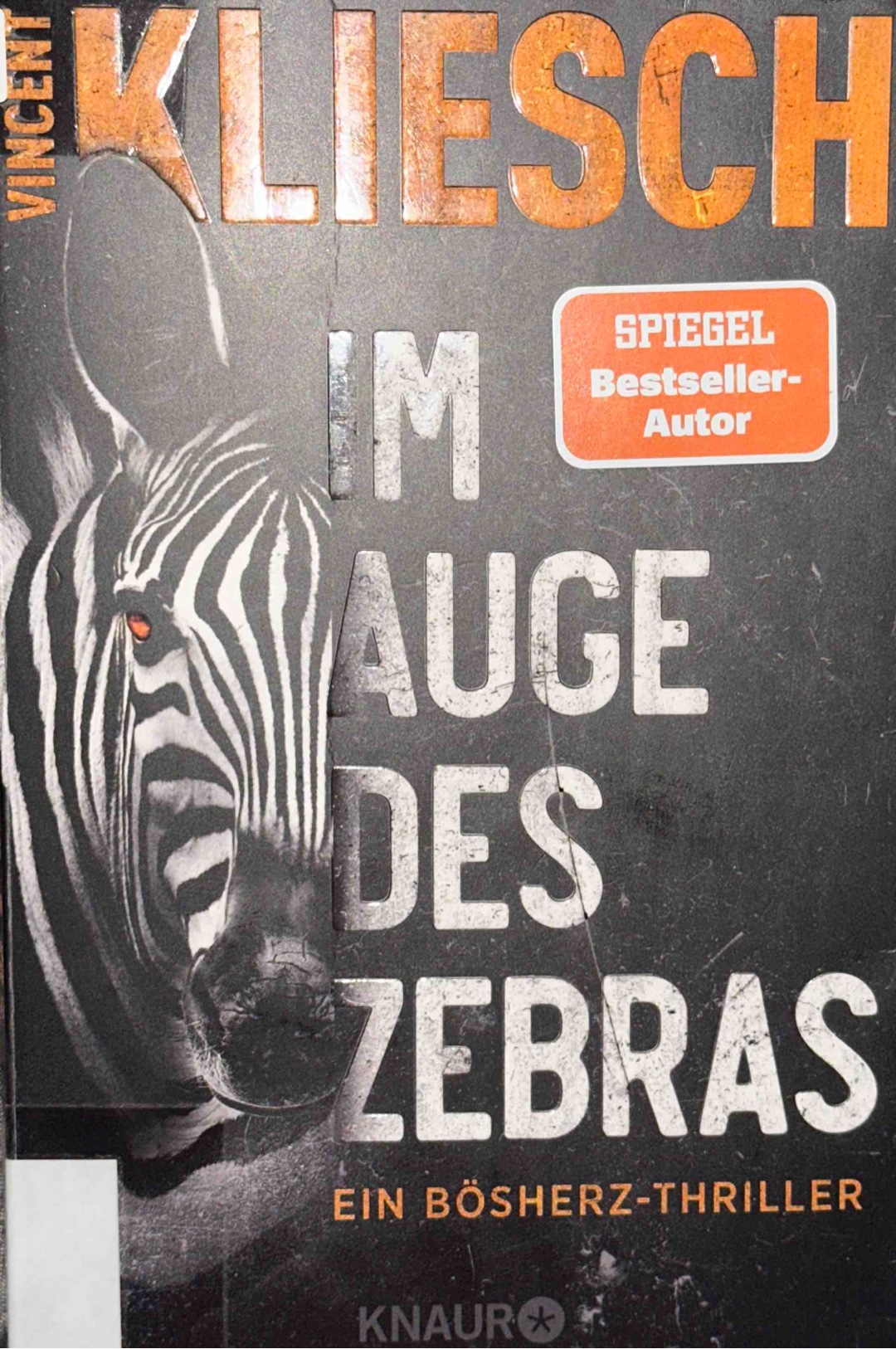 Vincent Kliesch: Im Auge des Zebras(Ein Bösherz-Thriller)