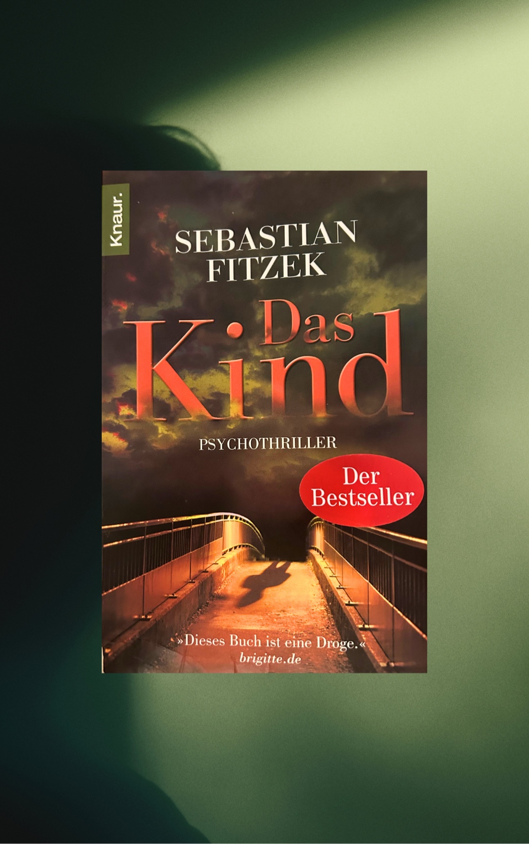 Trotz einiger Längen ein solides Buch mit unerwartetem Ausgang ✅