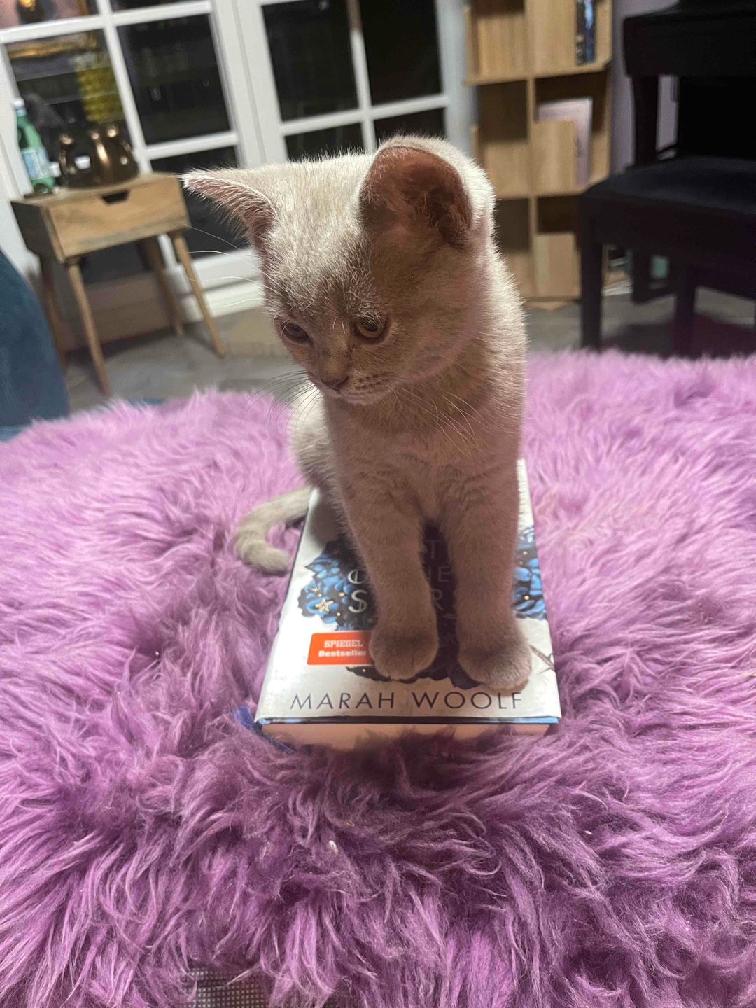 Ein Must Read