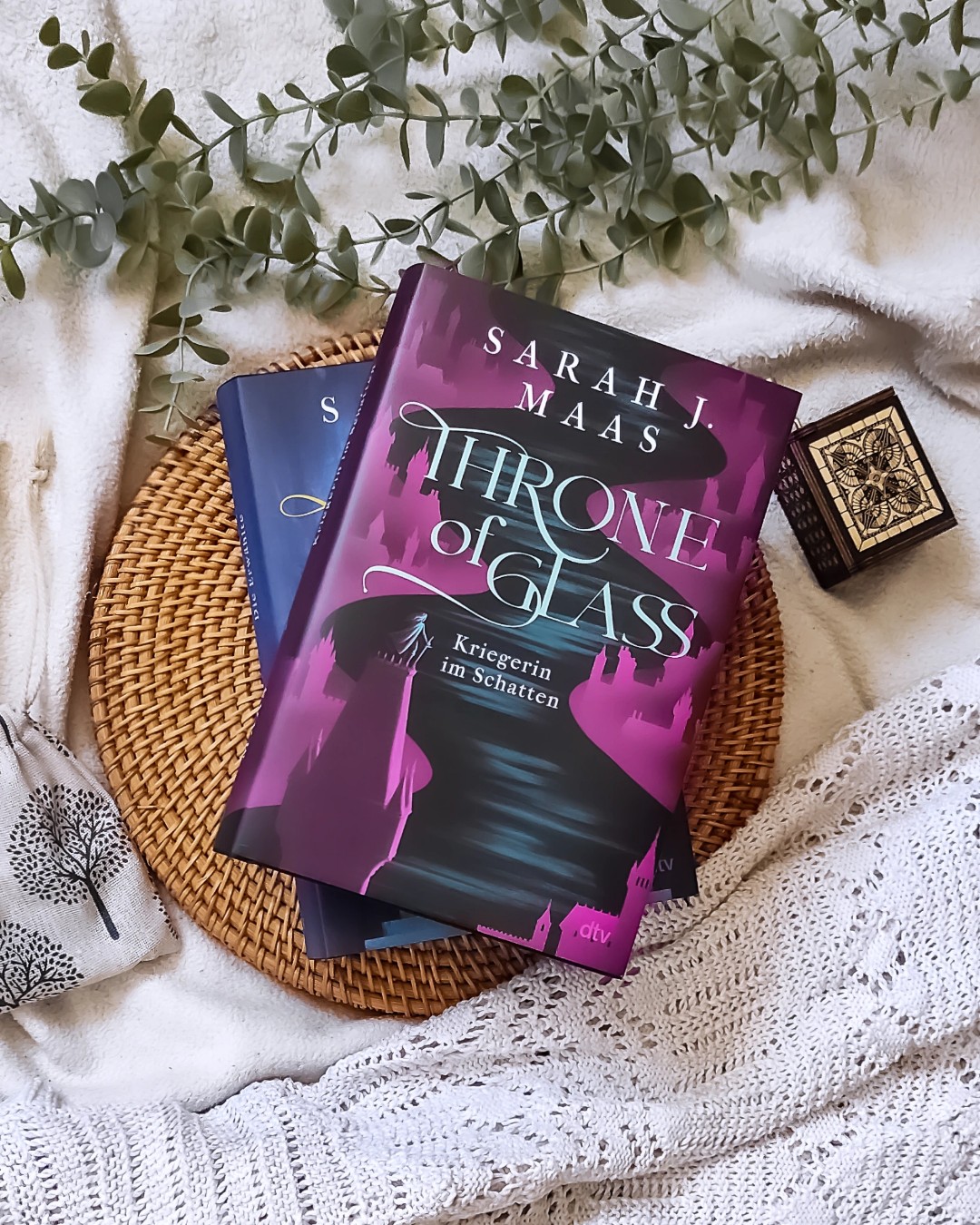 Throne of Glass - Kriegerin im Schatten