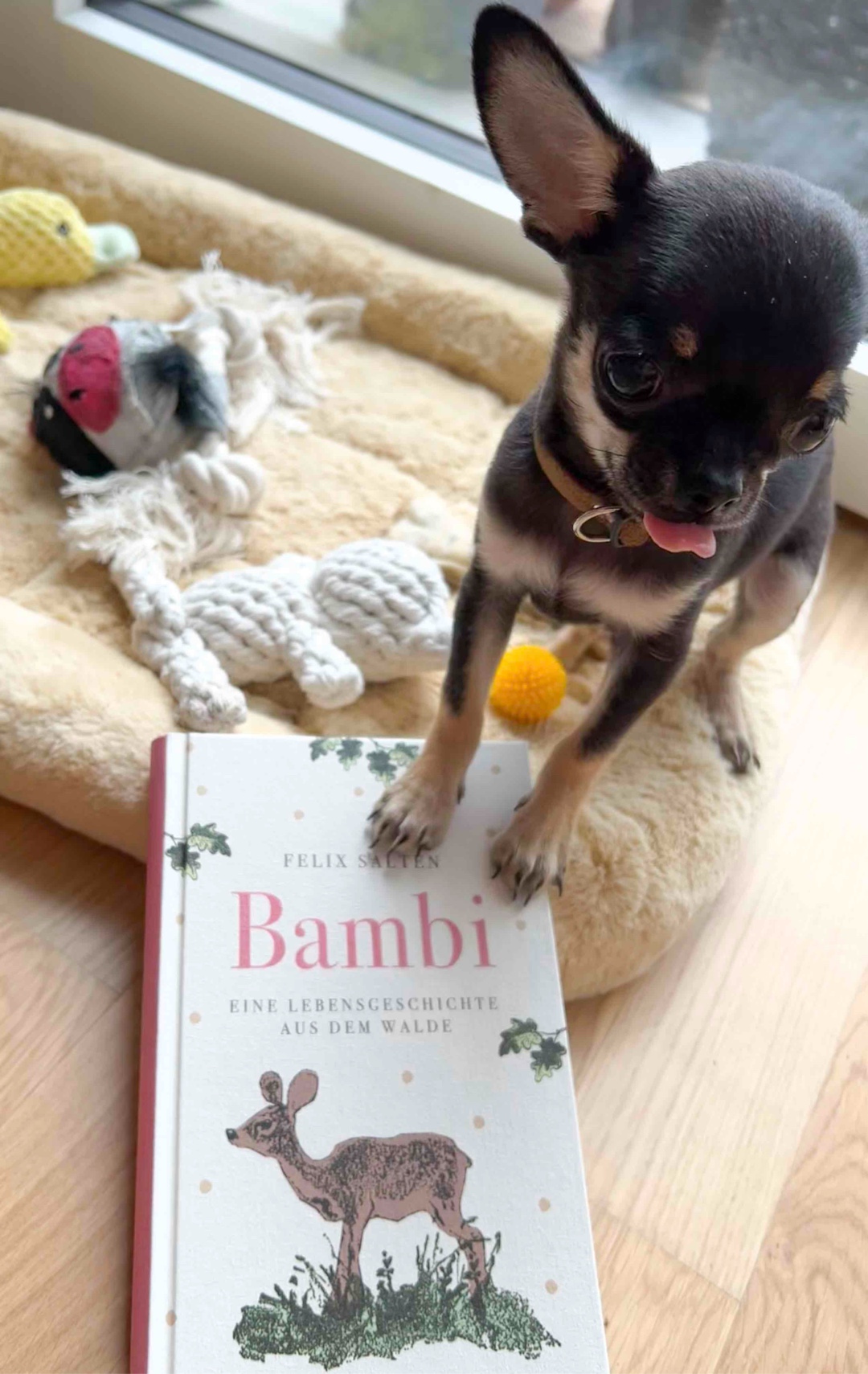 Dieses Buch hat meine Erwartungen übertroffen. Die Geschichte von Bambi ist berührend und manchmal überraschend tief. Wie bei anderen Klassikern steckt auch hier vieles zwischen den Zeilen. Es geht ums Aufwachsen, um Verlust, um Freundschaft und um das Wunder der Natur. Ein stilles, kraftvolles Buch, das nachklingt. 🍂🦌🤎